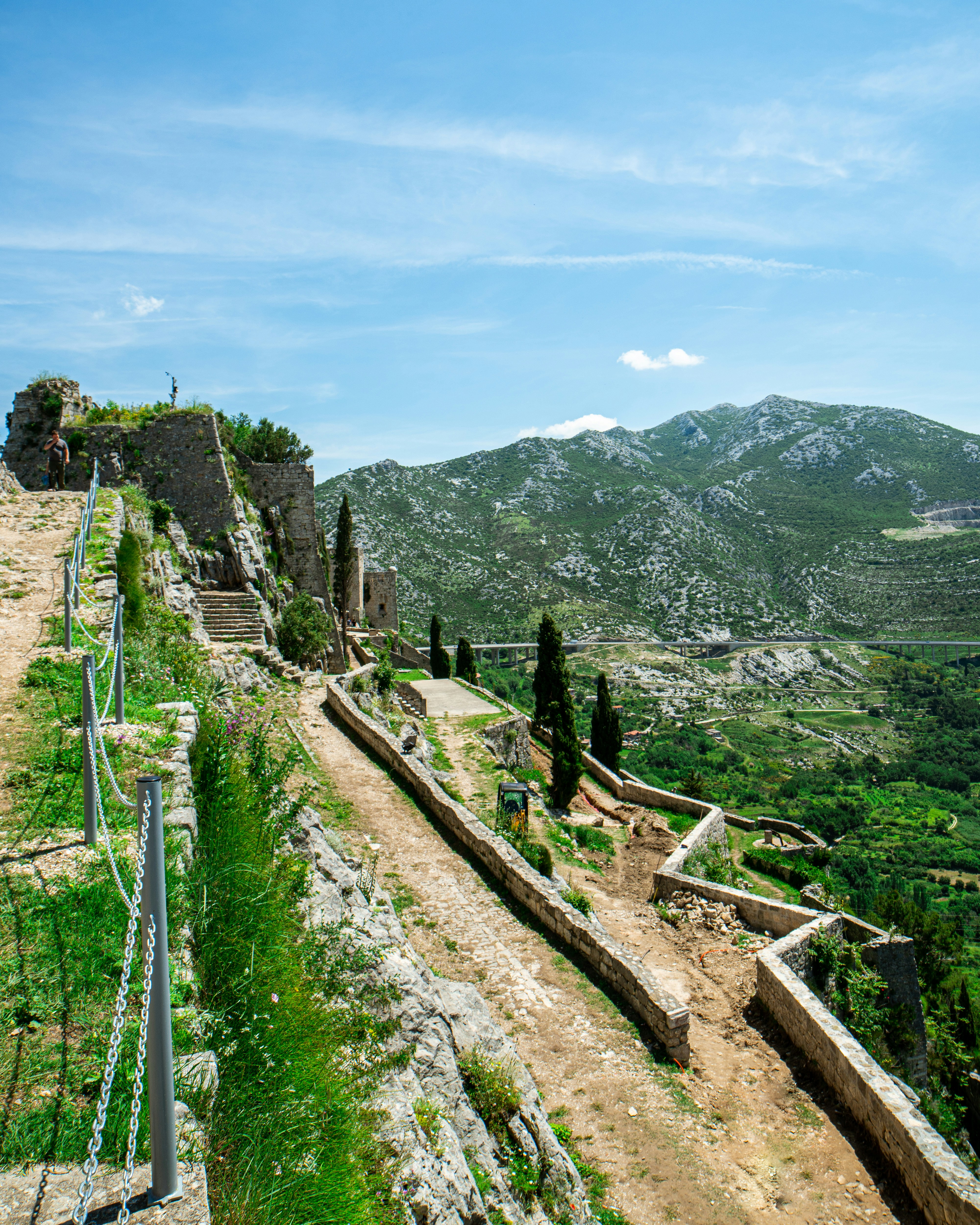 green trees on mountain under blue sky during daytime
