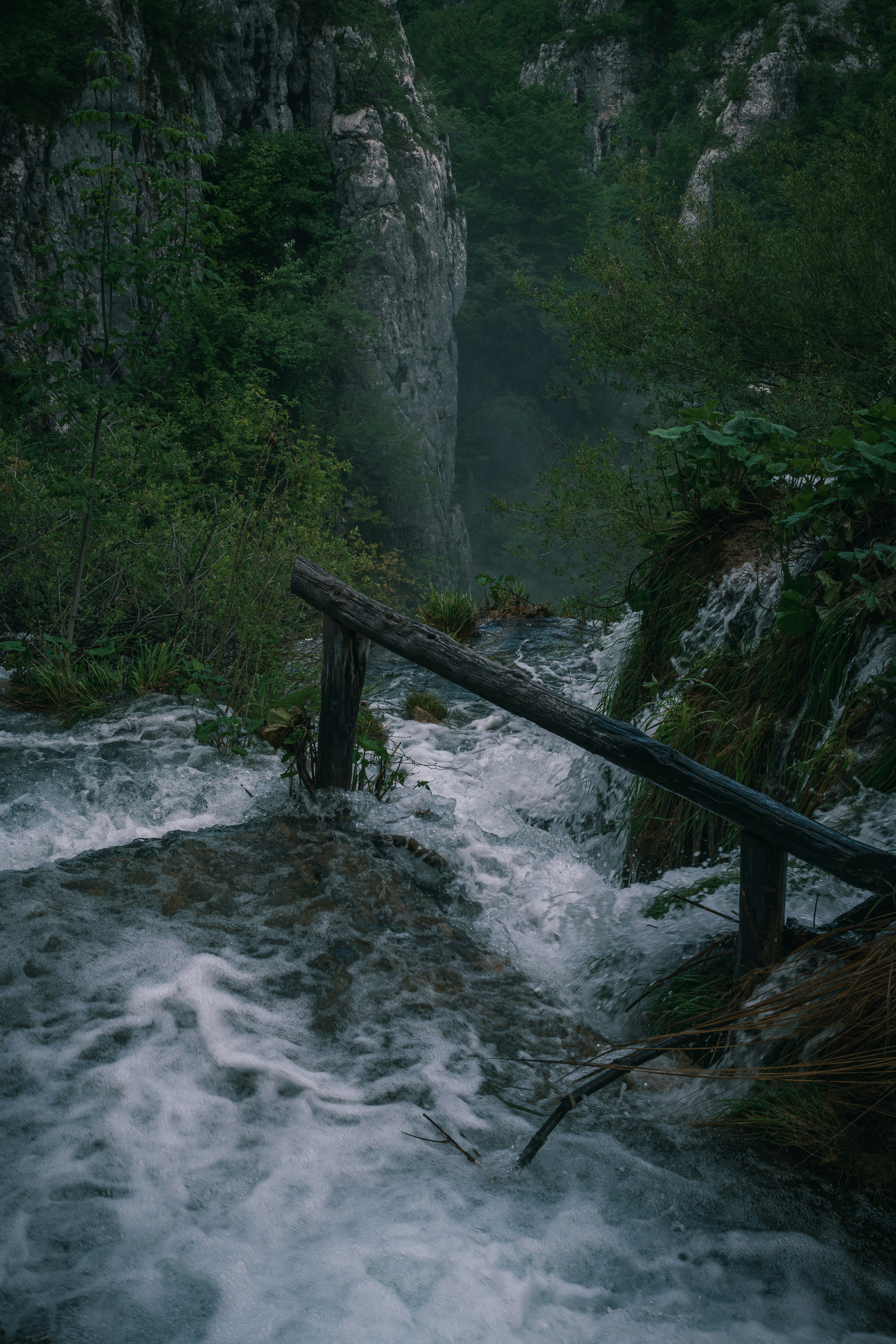 water falls near green trees during daytime