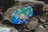 A large rock features a vibrant, colorful painting of a cartoon character. The rock is surrounded by other gray and brown rocks, creating a natural, rugged setting. Various doodles in bright colors like blue, orange, and purple decorate the surface.
