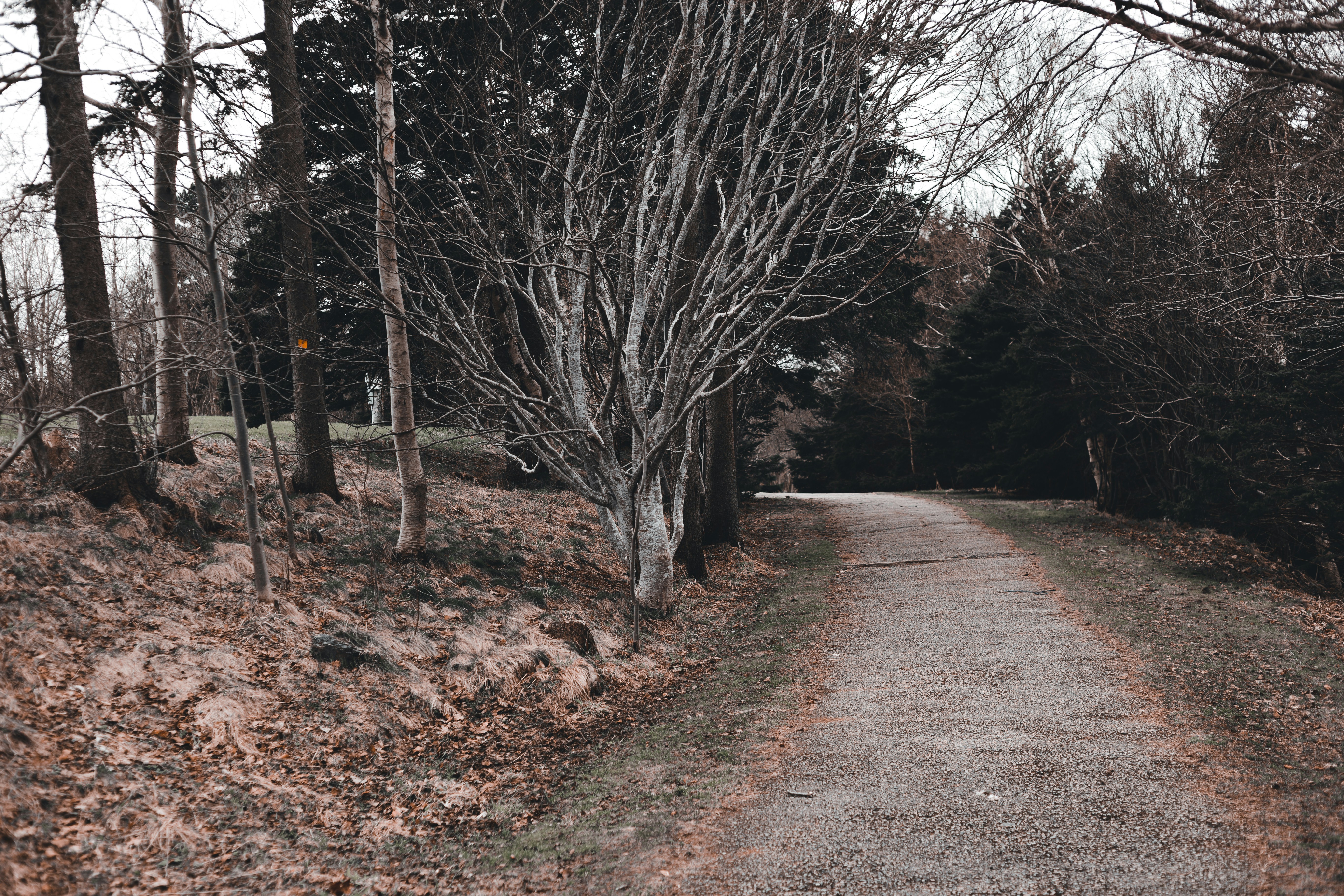 Photo by introspectivedsgn