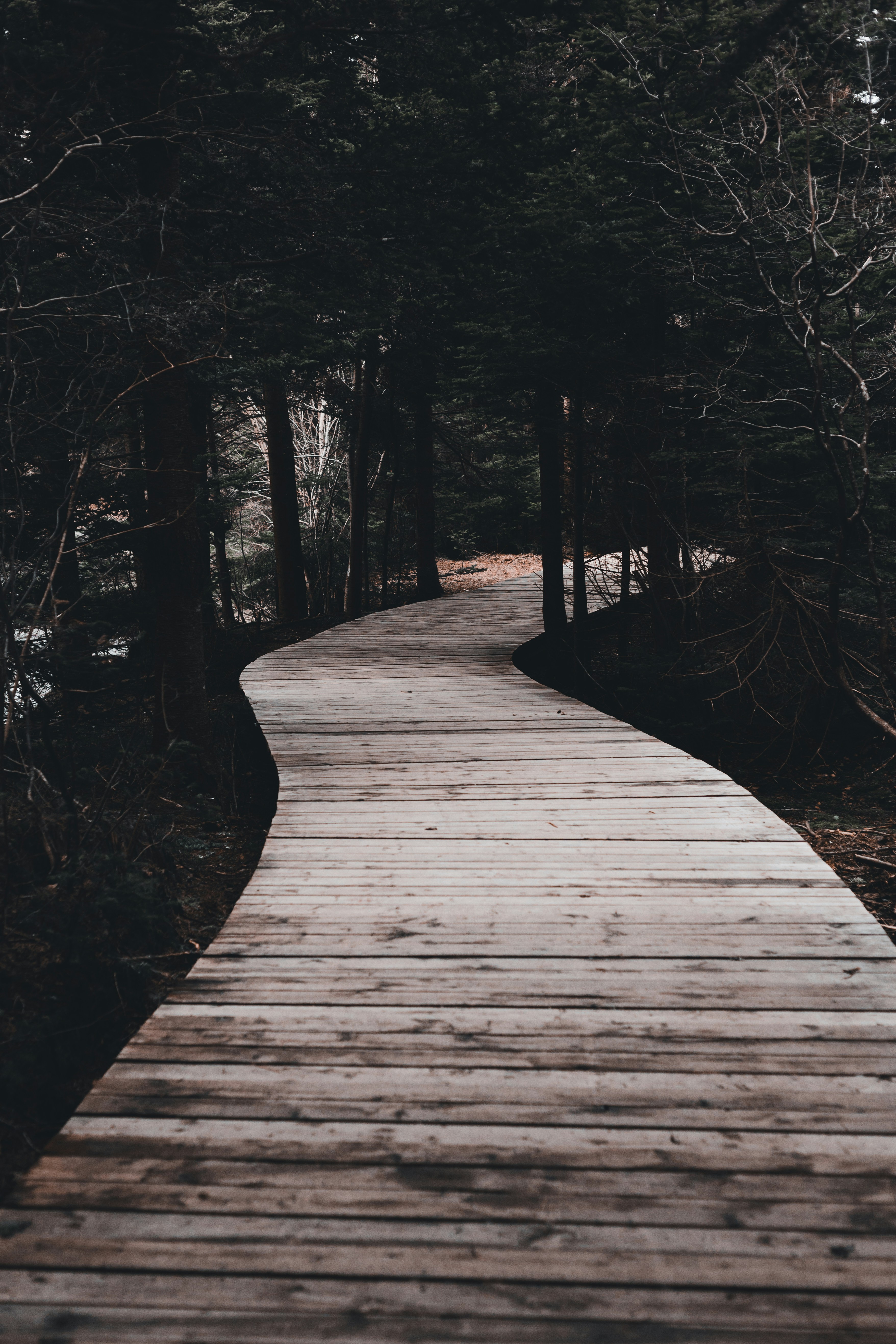 Photo by introspectivedsgn