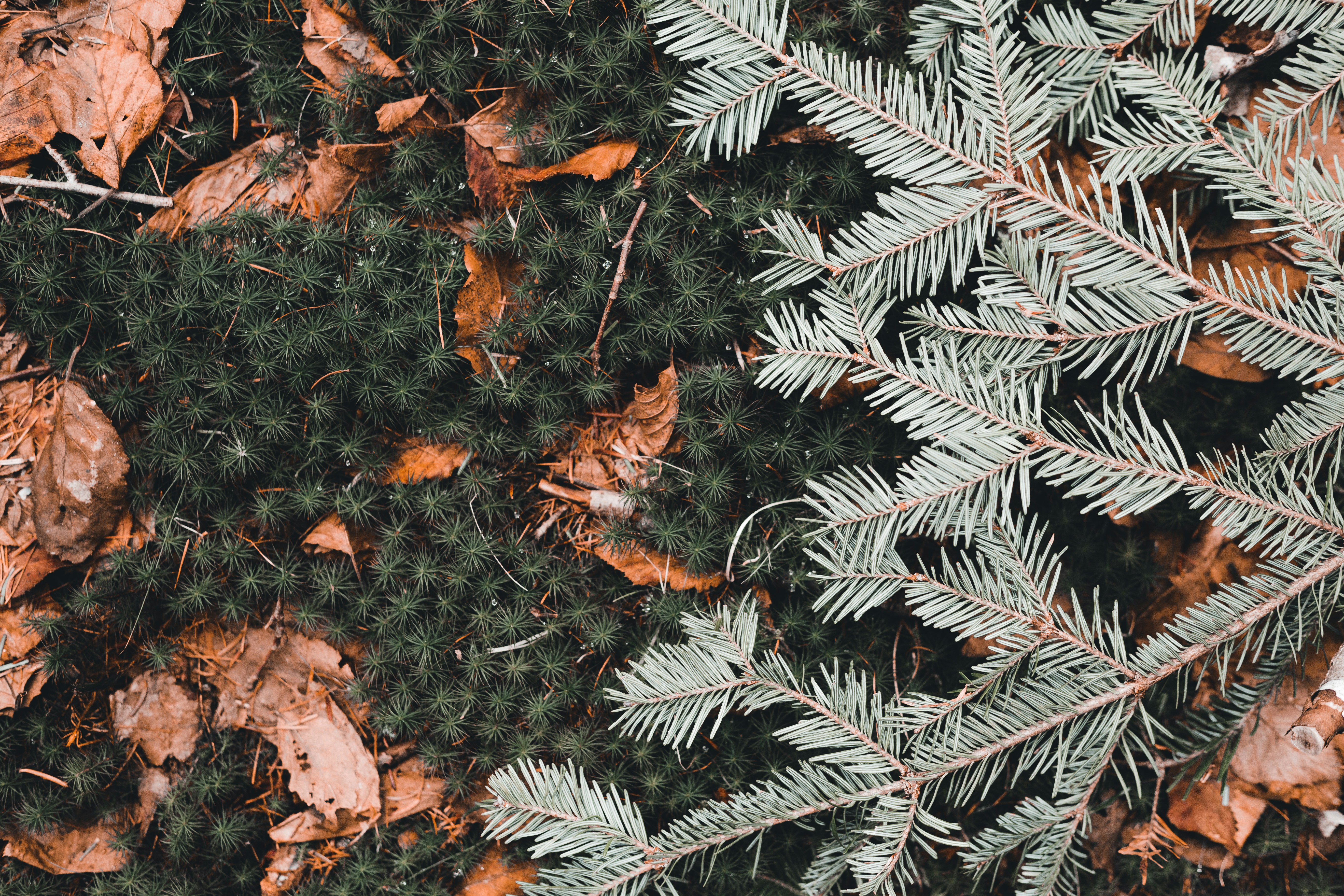 Photo by introspectivedsgn