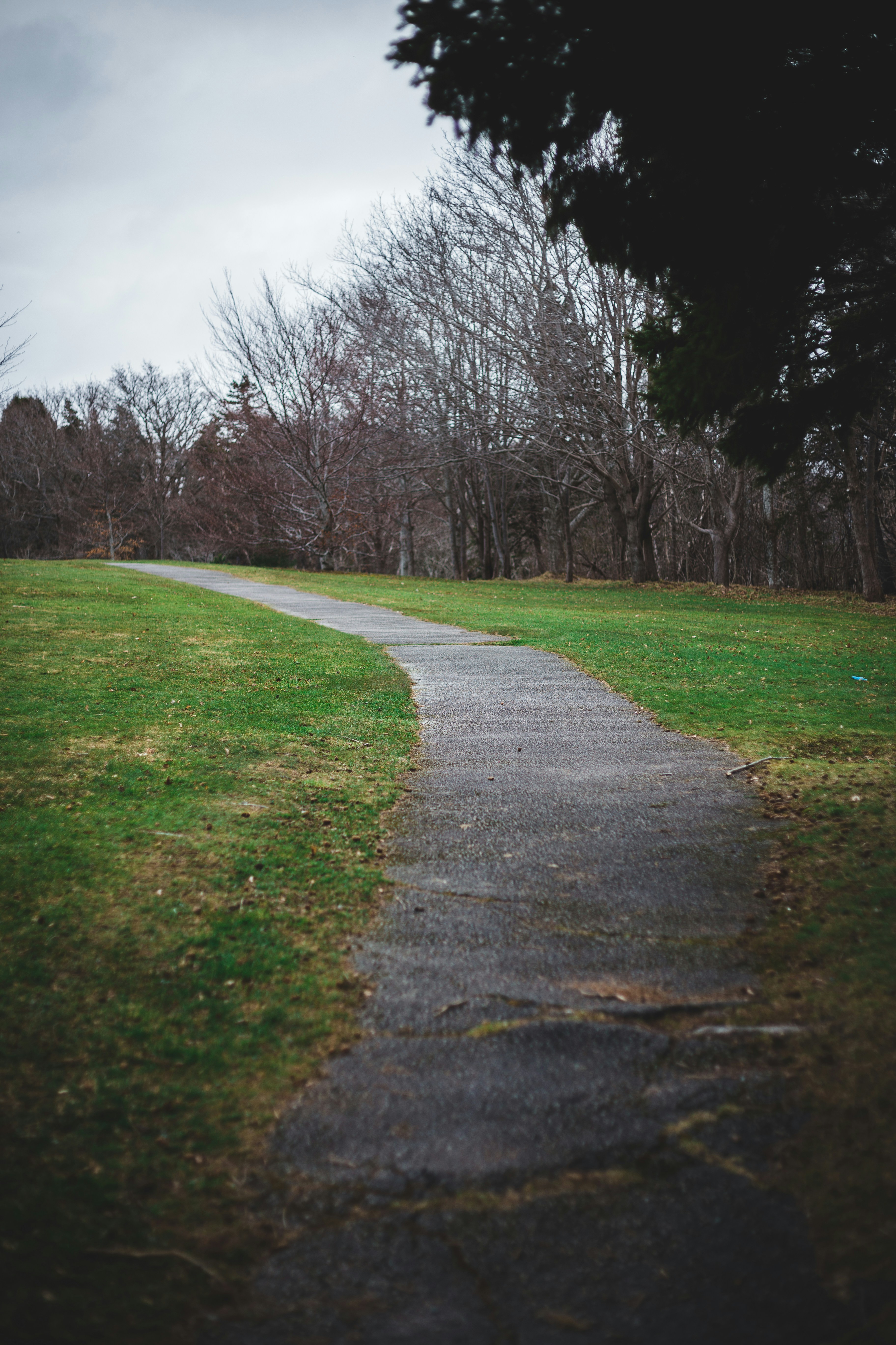 gray concrete road between green grass field and bare trees under gray sky during daytime