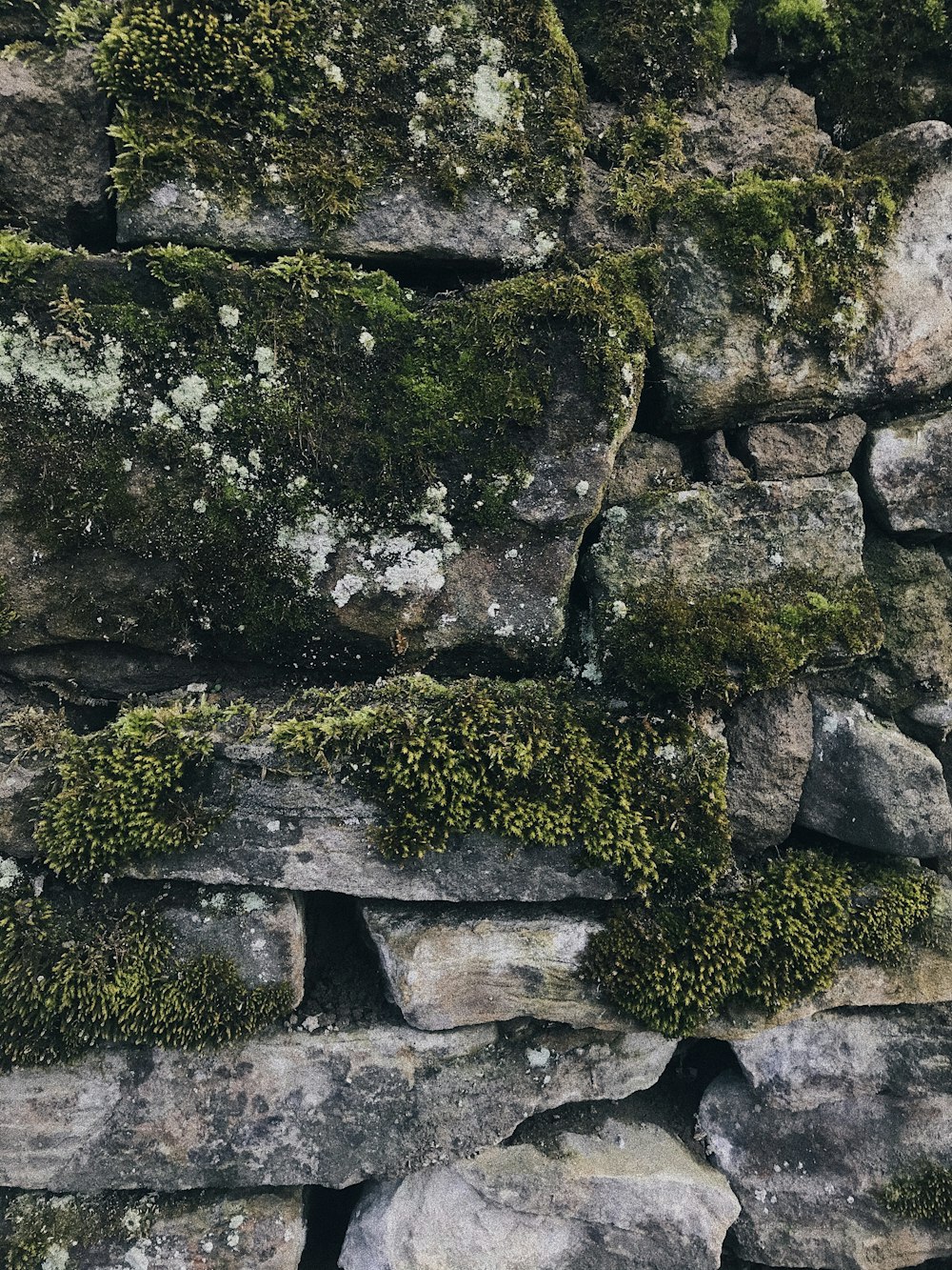 Mur en pierre grise et noire