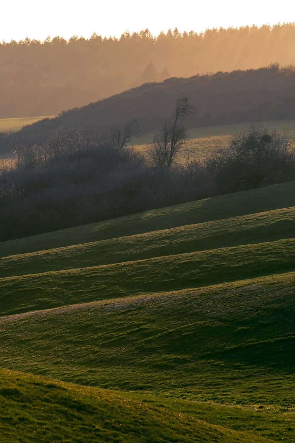 green grass field near brown mountain during daytime