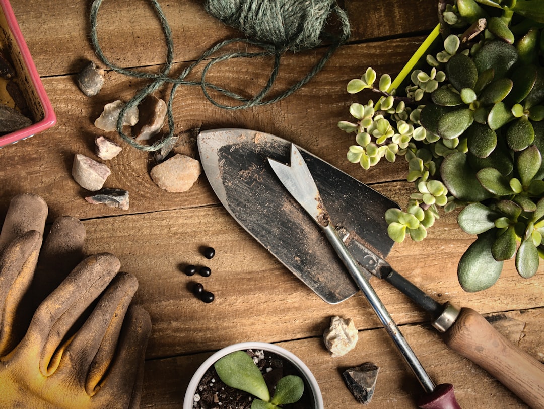 brown wooden handled knife beside green plant