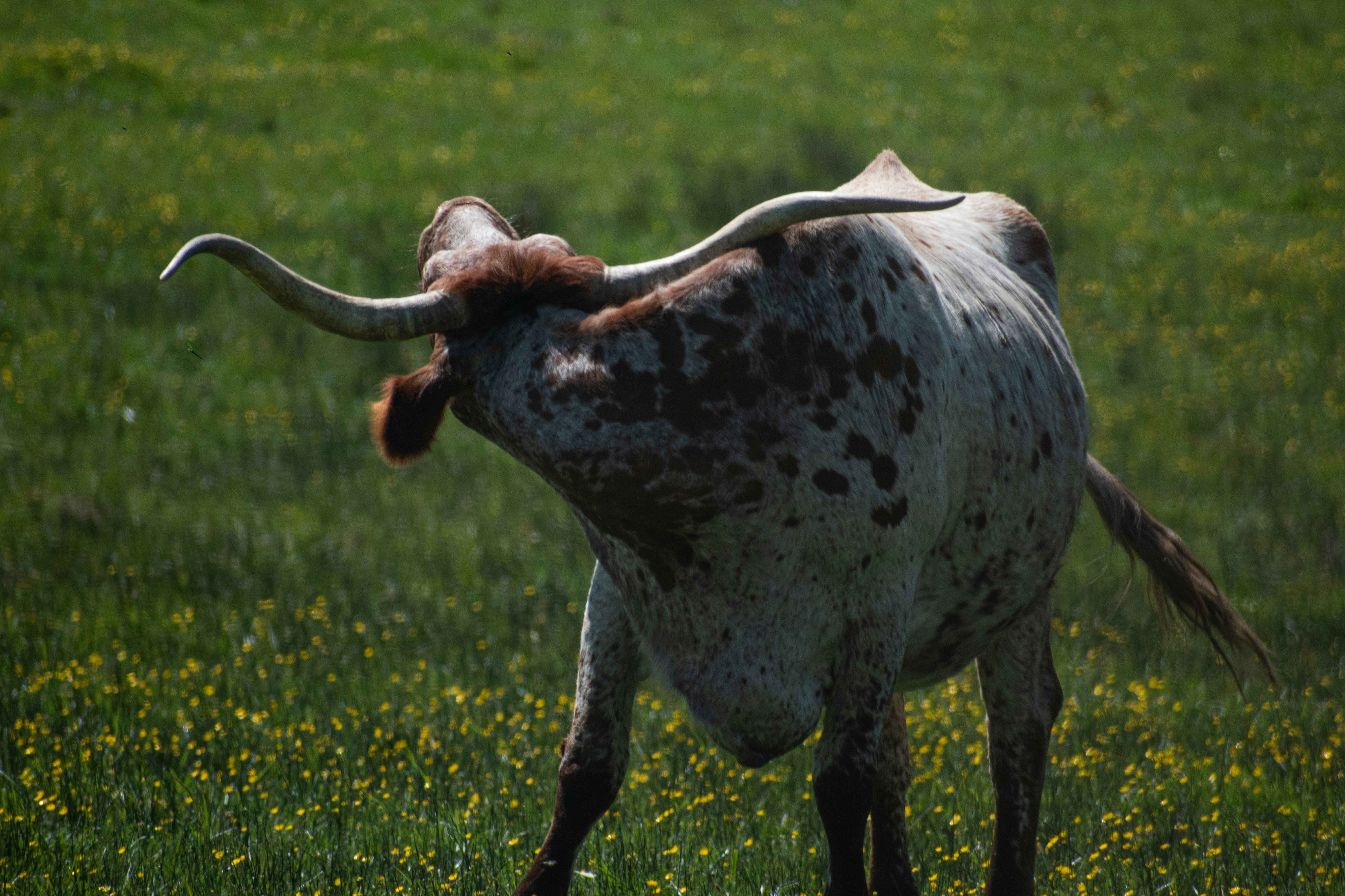 Photo by elisastonephotography