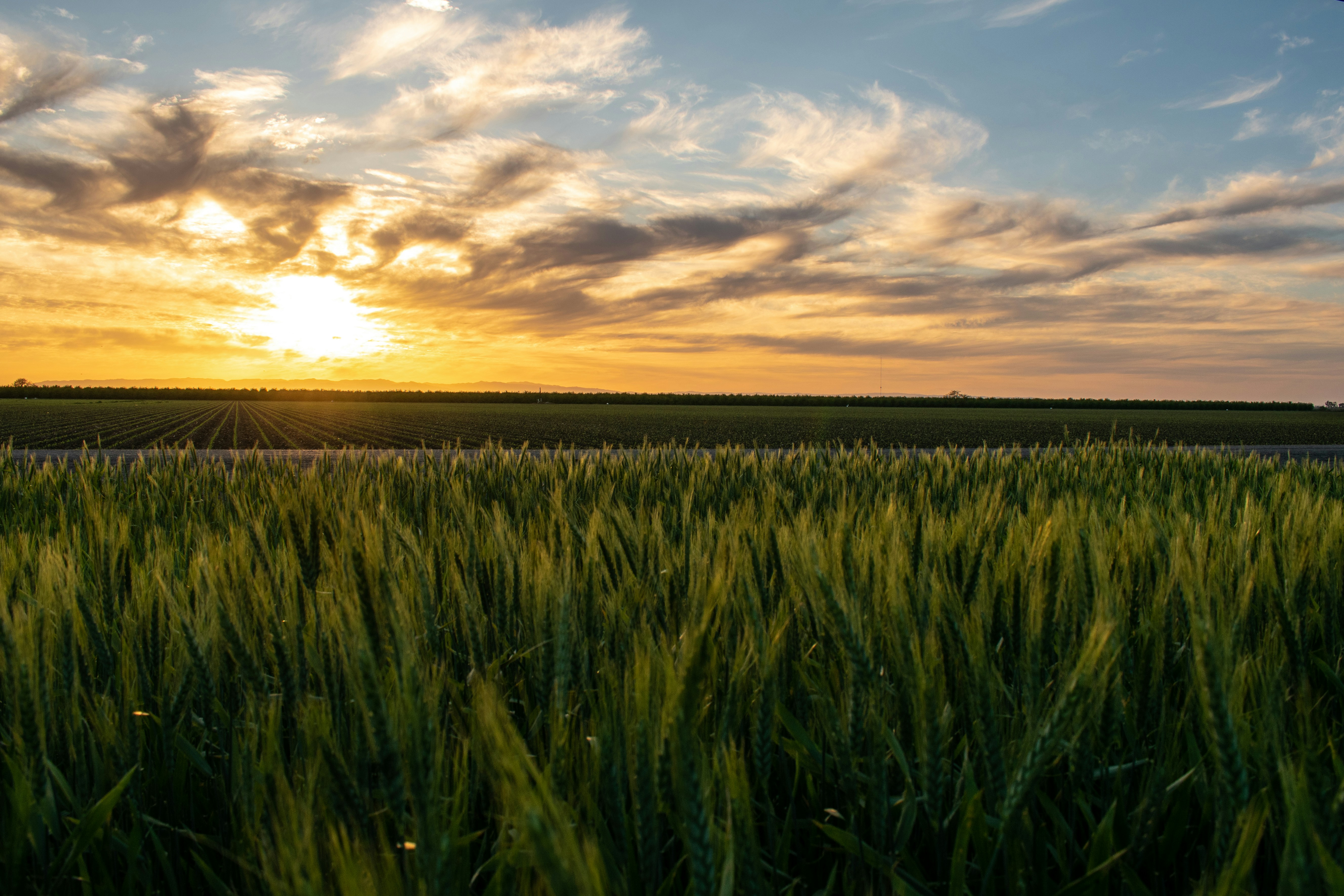 Photo by elisastonephotography