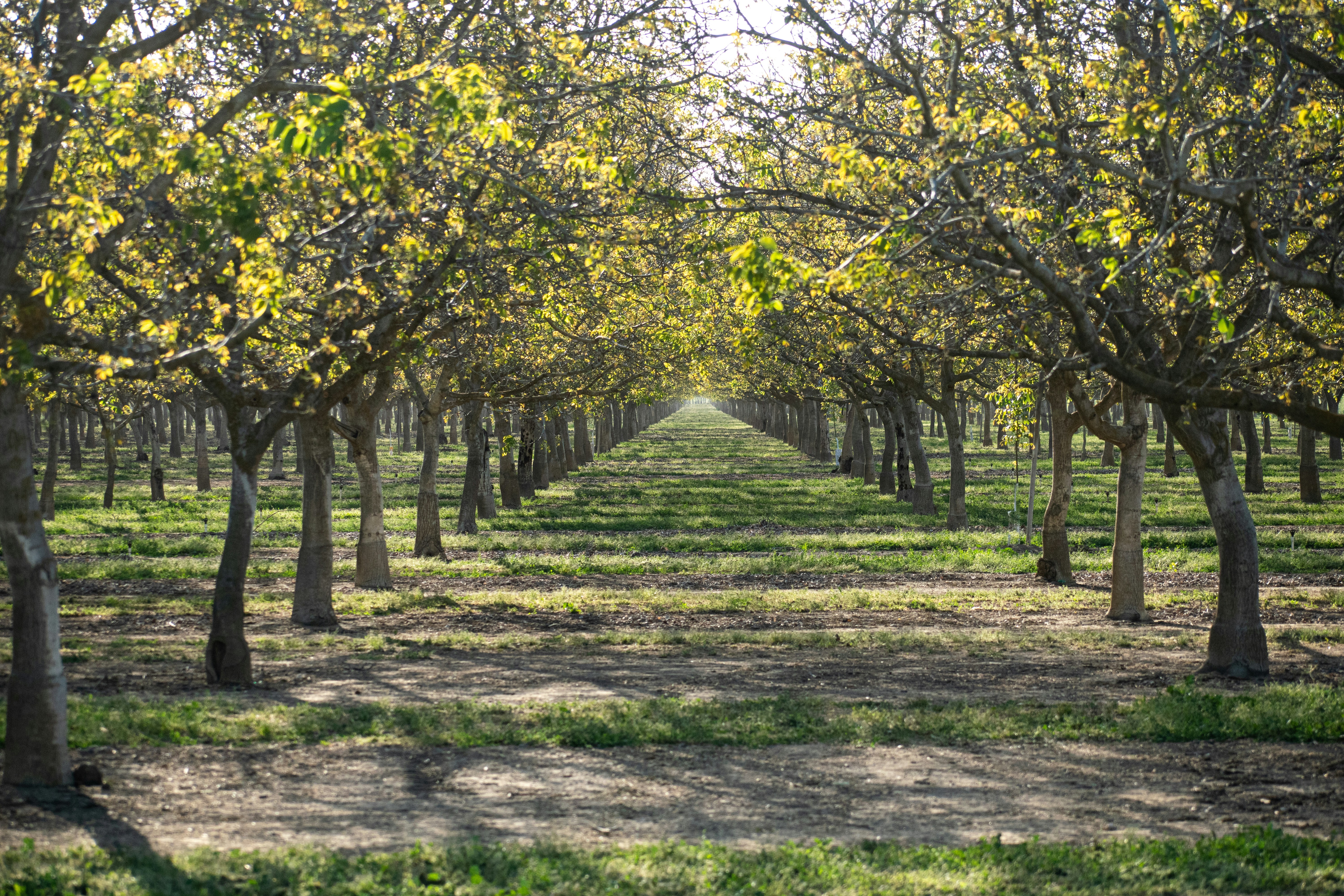 Photo by elisastonephotography