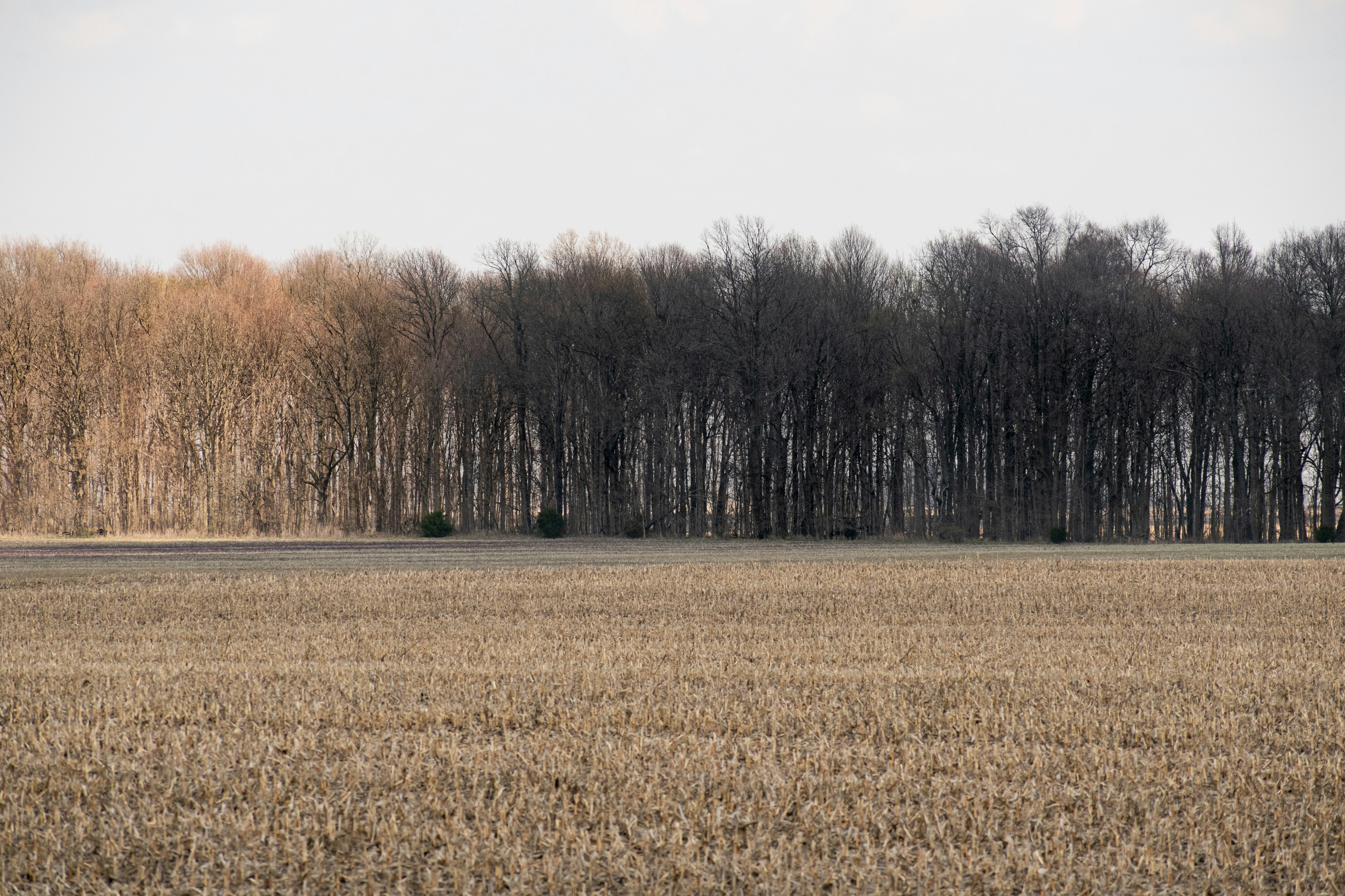 Photo by elisastonephotography