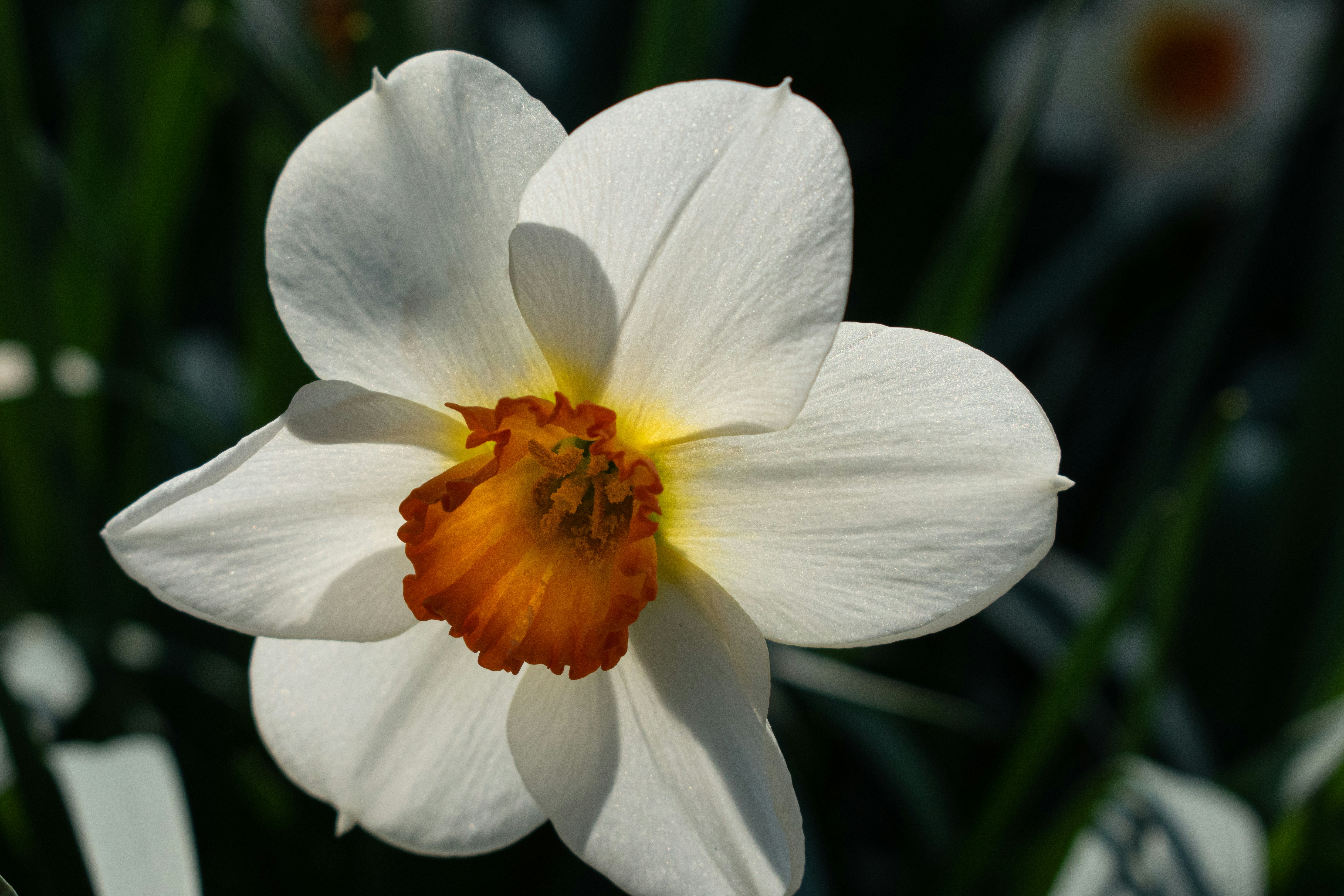 Photo by elisastonephotography