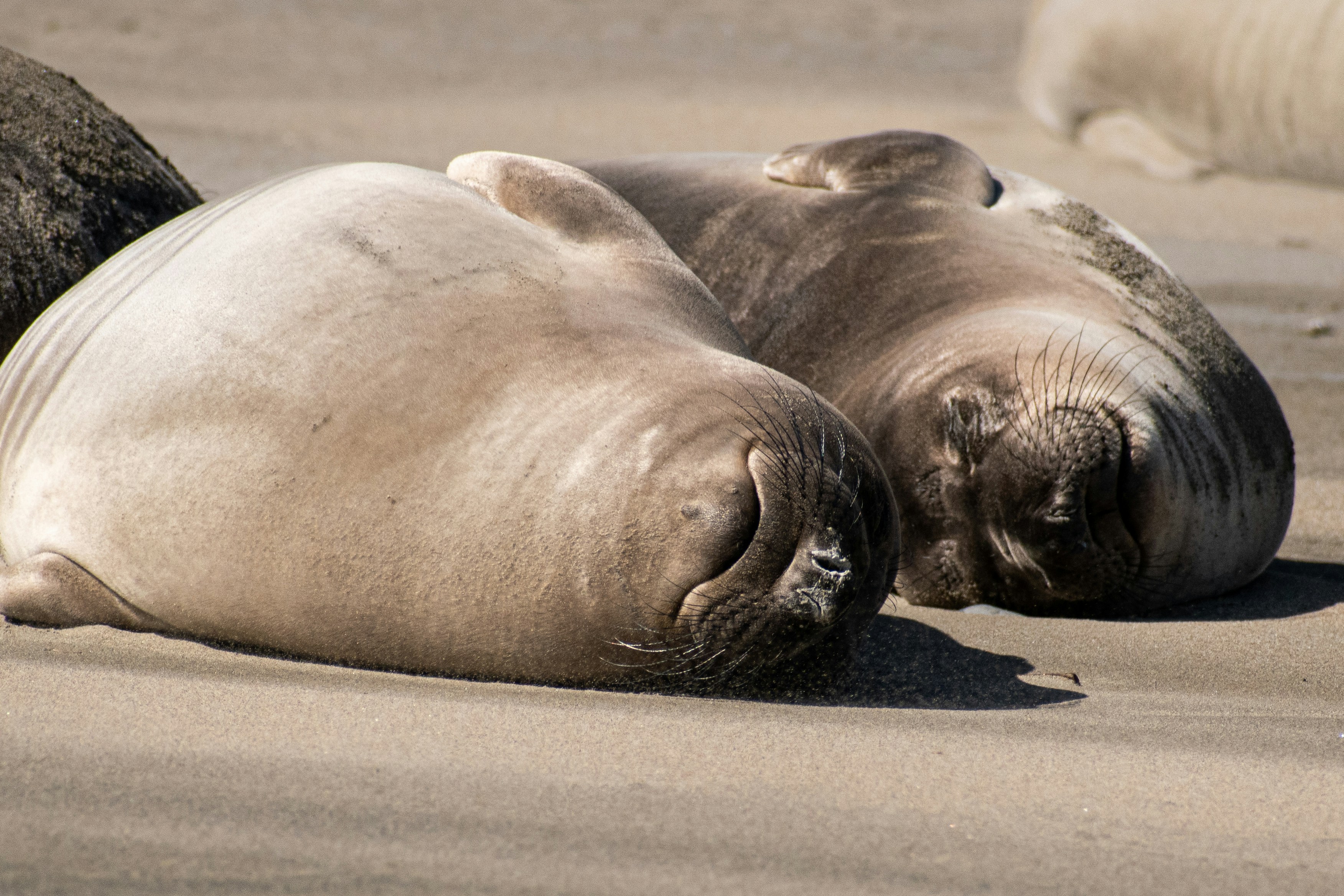 Photo by elisastonephotography