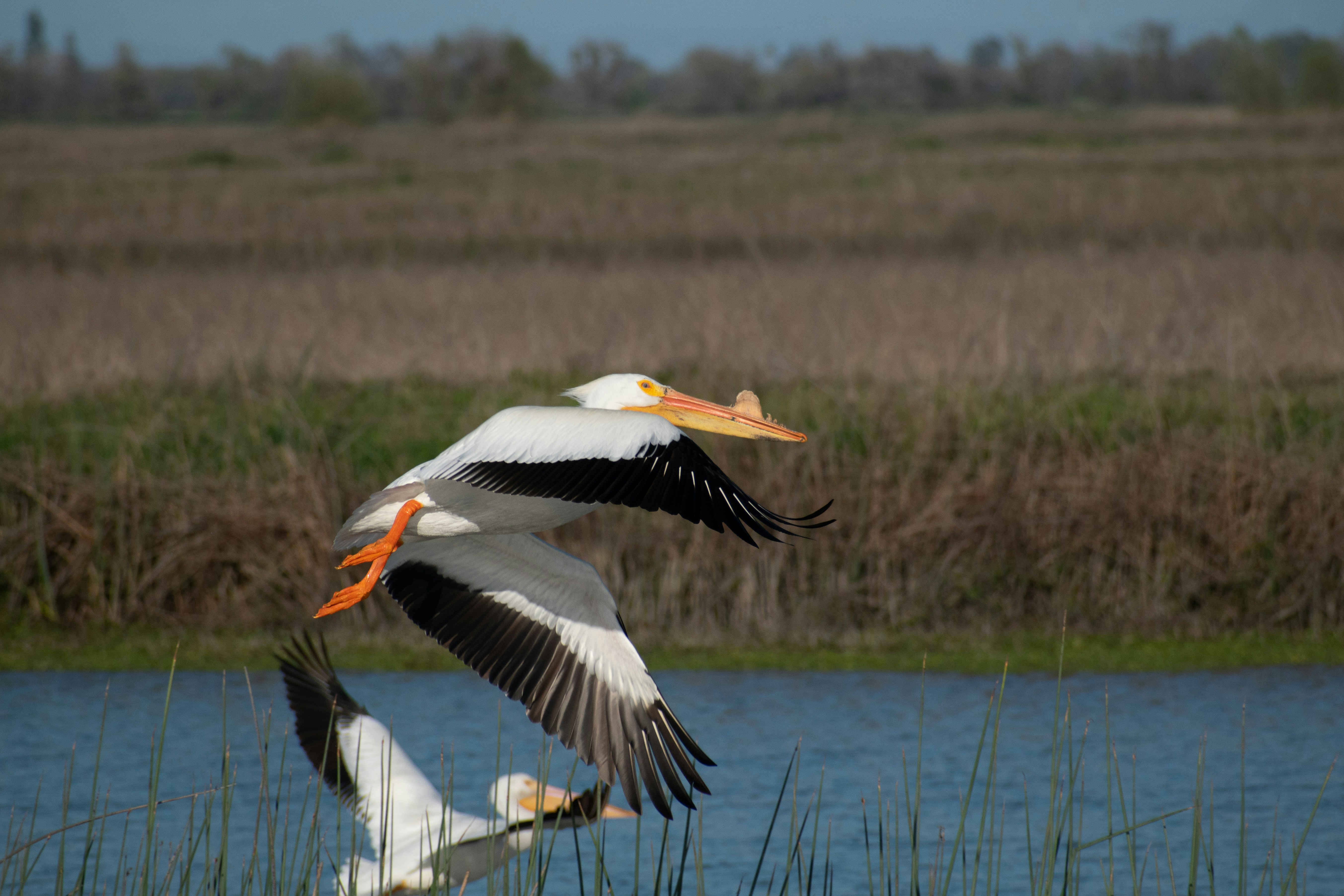 Photo by elisastonephotography