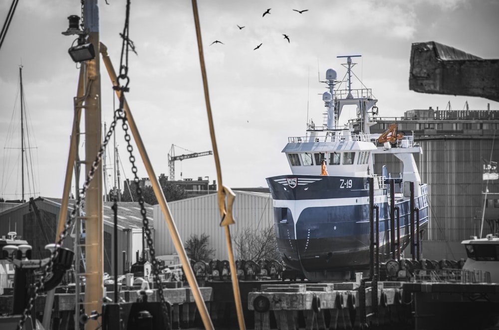 blue and white ship on dock during daytime