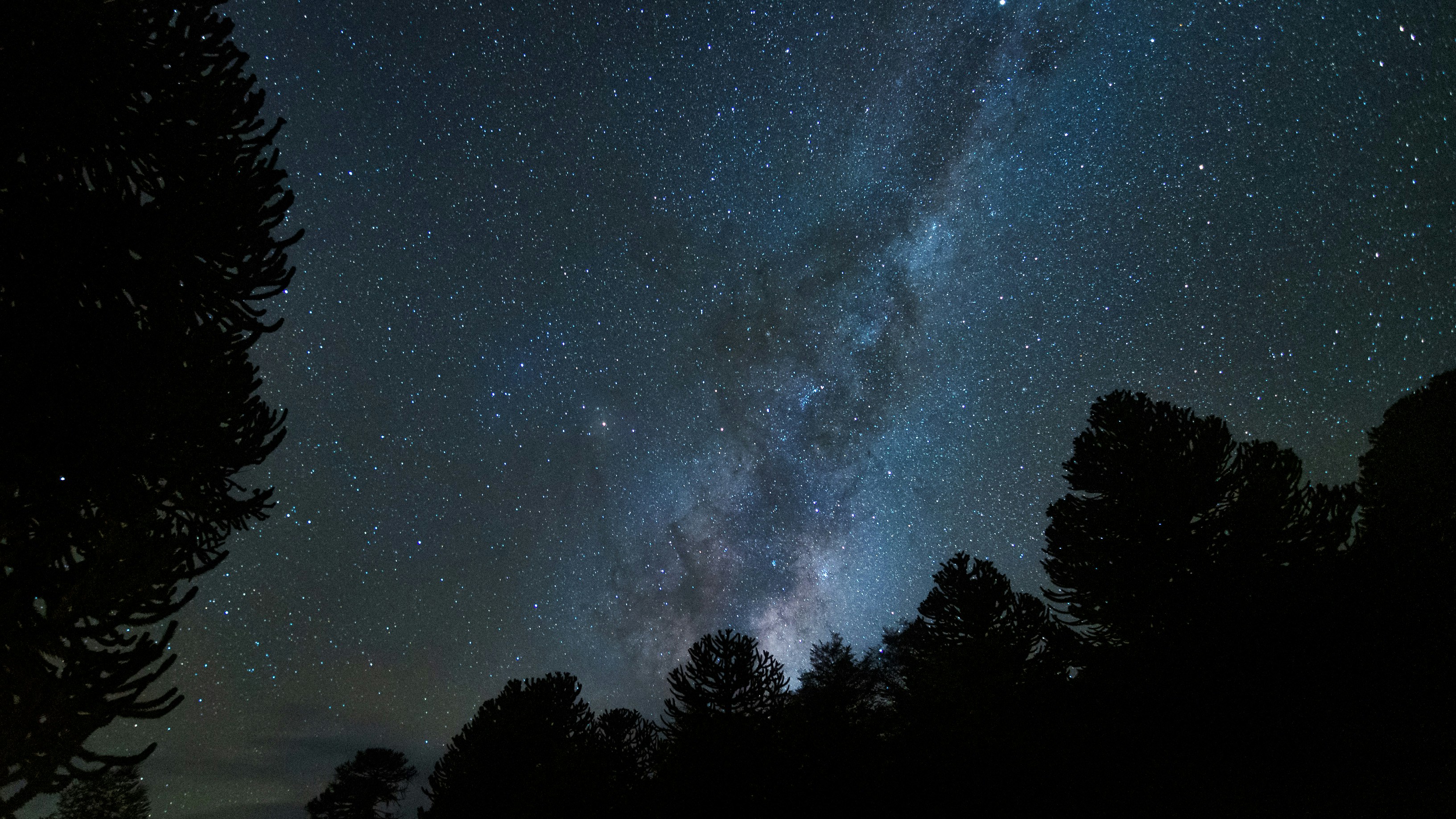 Photo by franz_nawrath