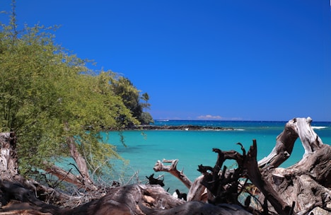A scenic view of a tropical beach representing holiday packages, with a suitcase and passport in the foreground.