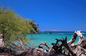 A scenic view of a tropical beach with clear blue water.