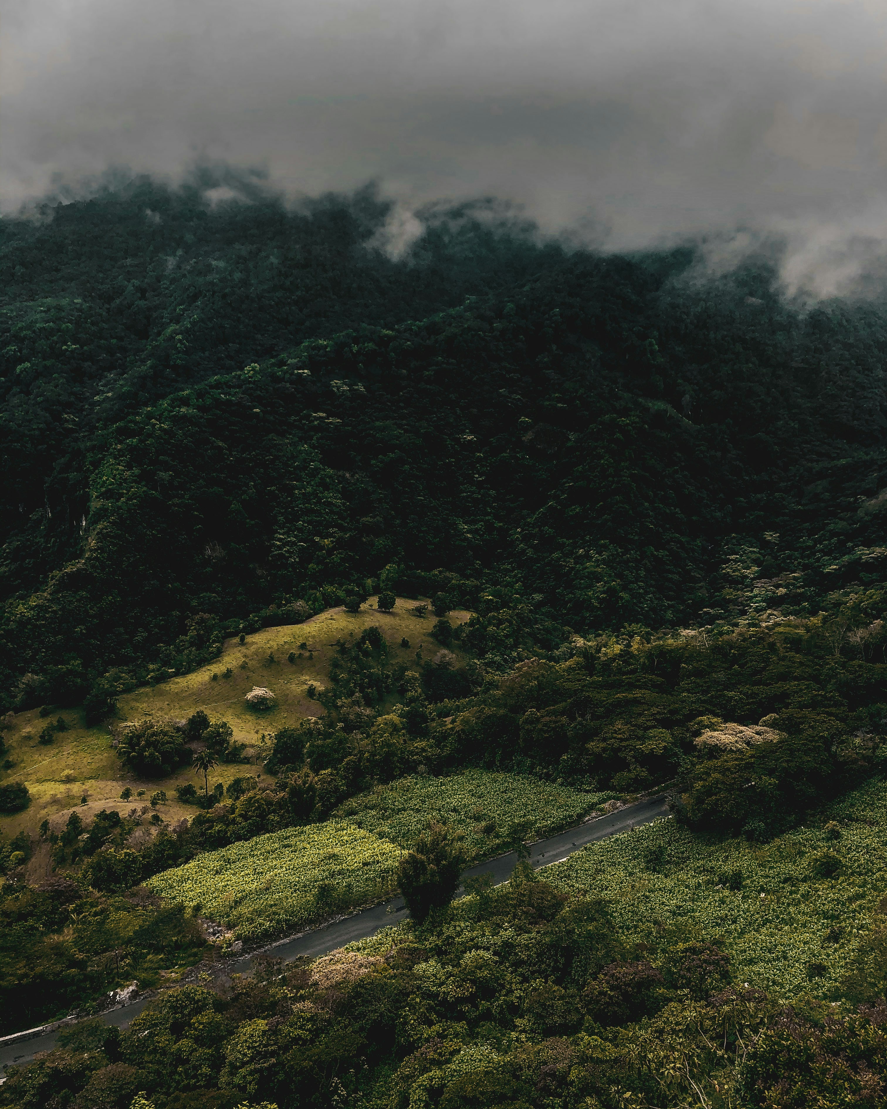 Photo by victormoran