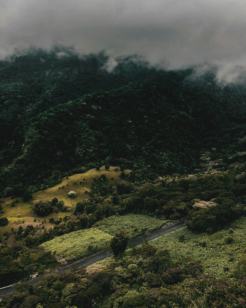 green trees on mountain under cloudy sky during daytime