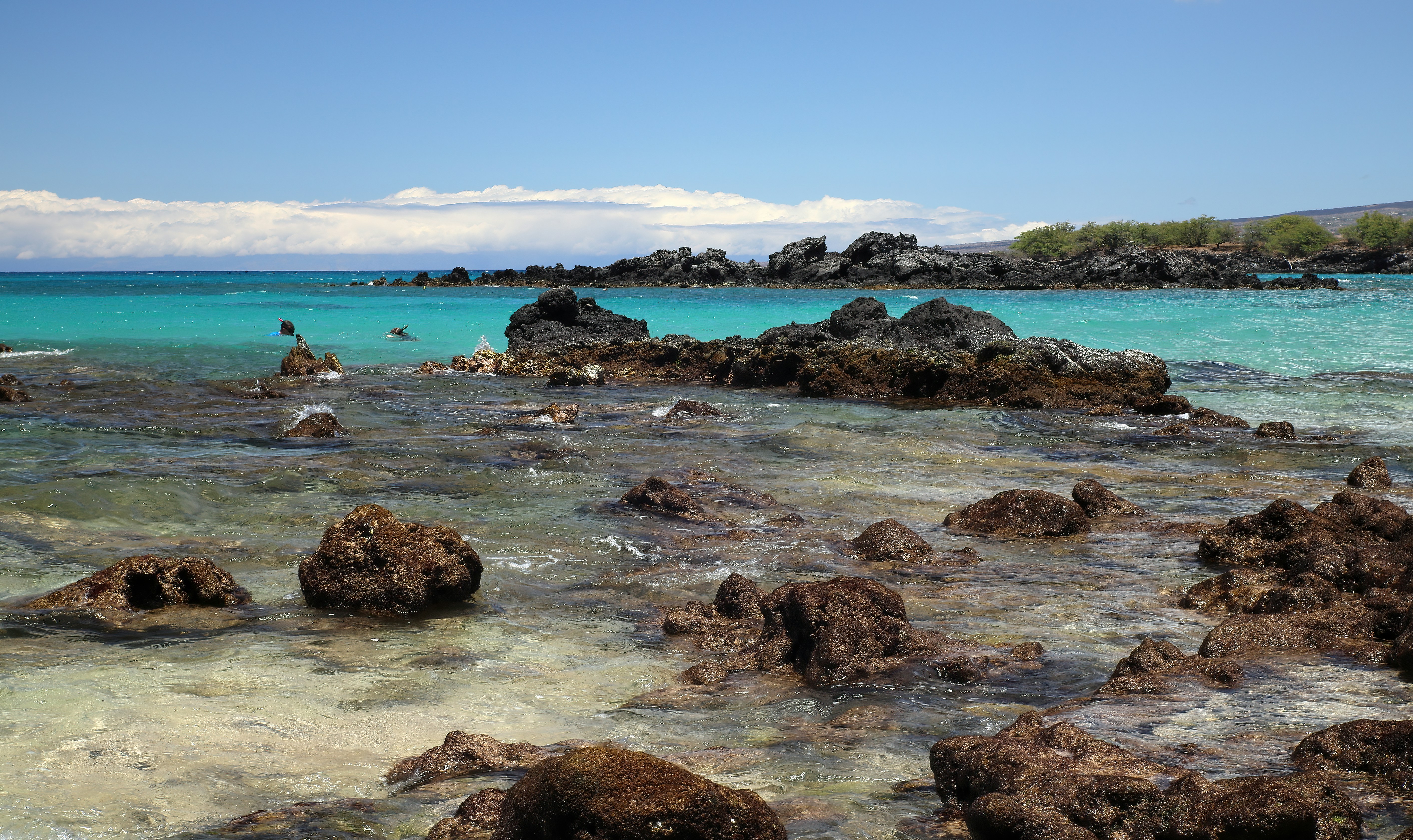 Photo by bullterriere