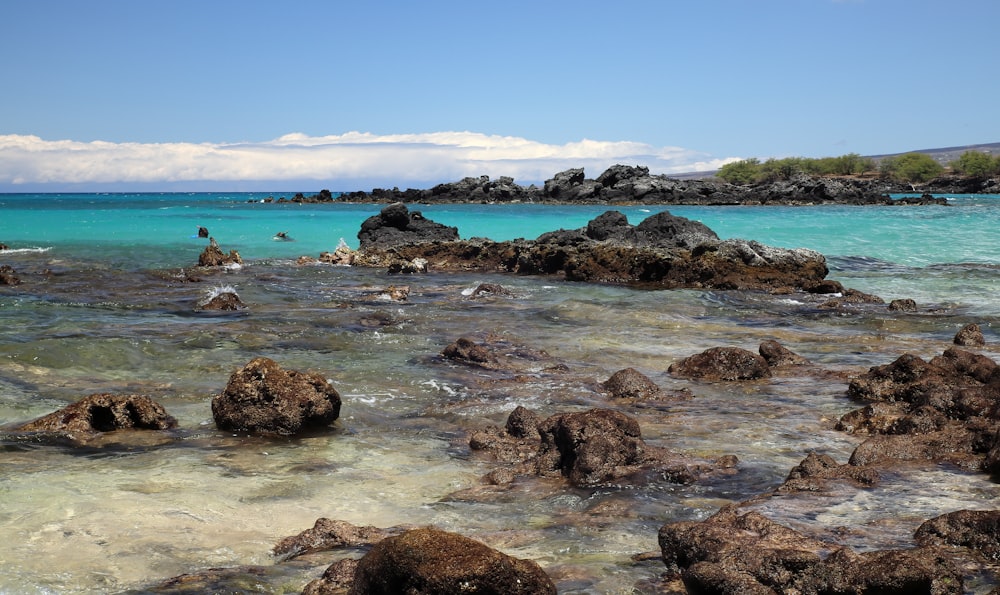 brown rocks on sea shore during daytime