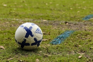 white and blue soccer ball on green grass field during daytime