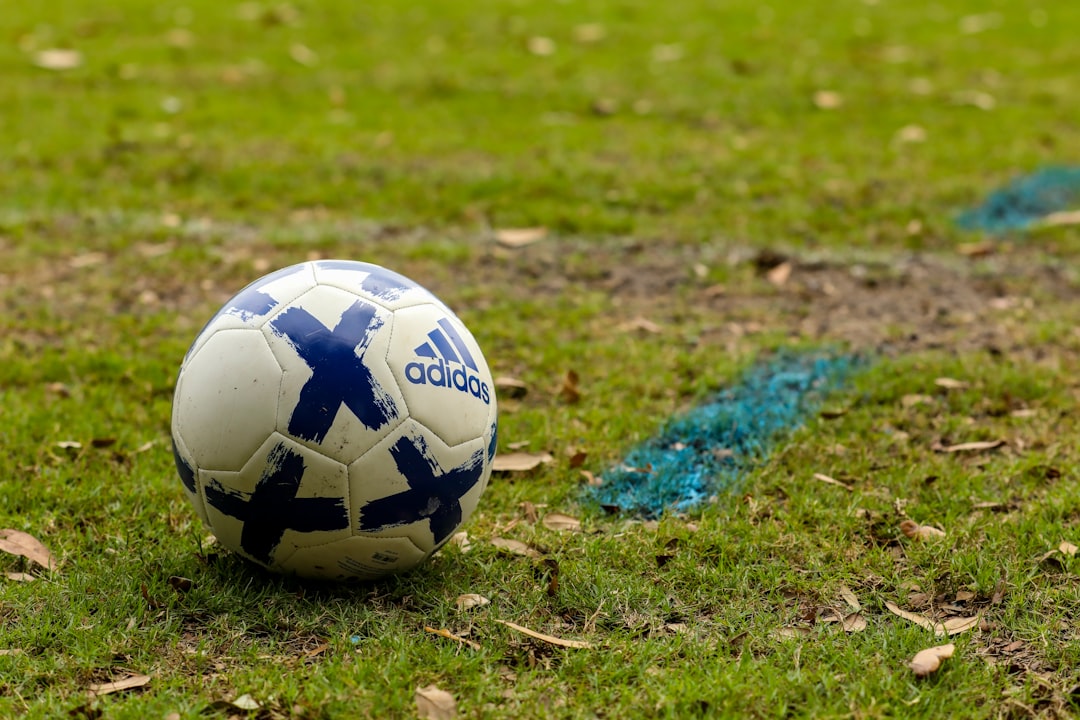 white and blue soccer ball on green grass field during daytime