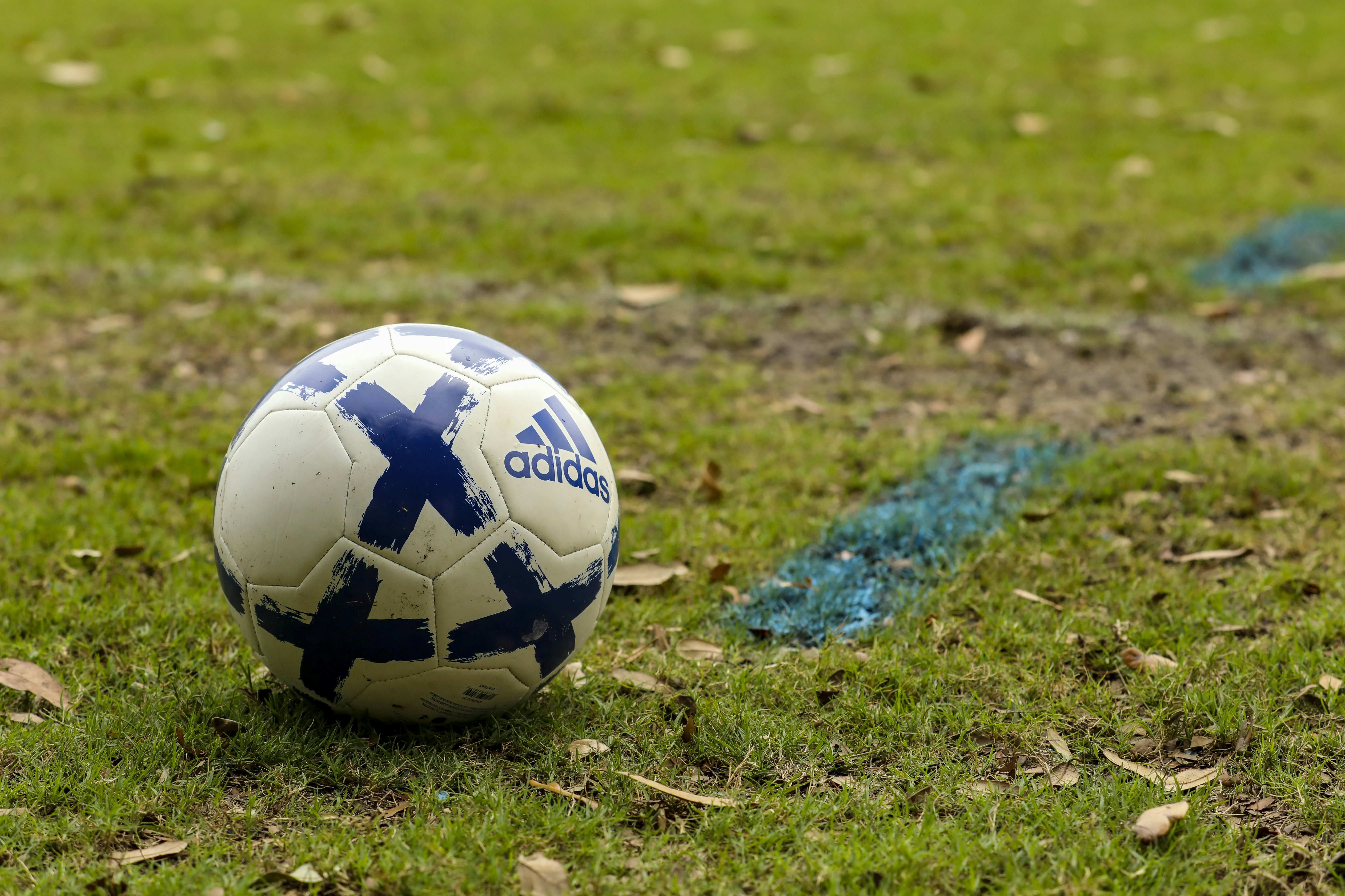 white and blue soccer ball on green grass field during daytime