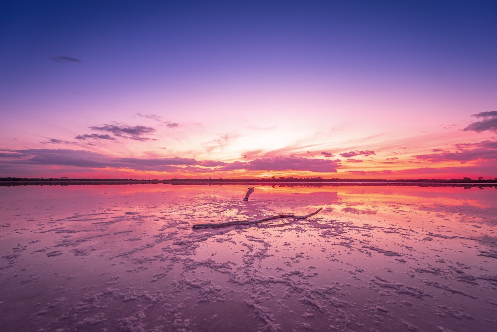 body of water under blue sky during daytime