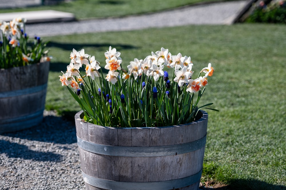 white and yellow flowers in brown wooden bucket