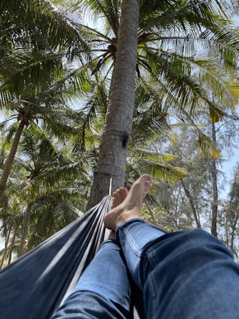 Sunlight filtering through palm leaves onto a hammock swaying gently by the beach.