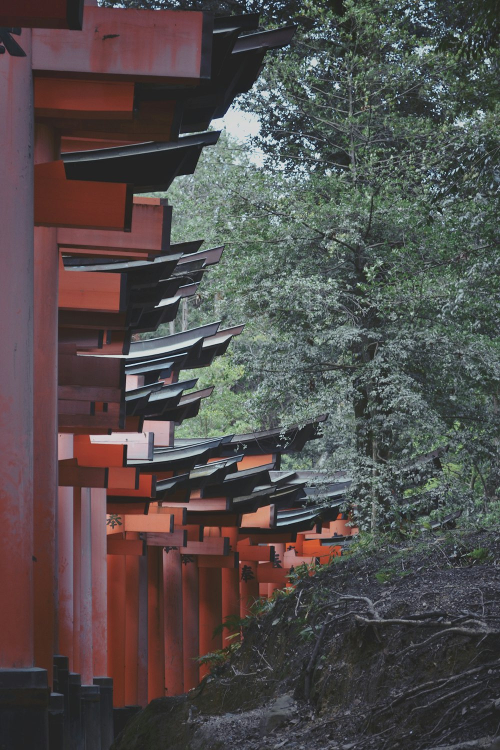 red wooden fence near green trees during daytime