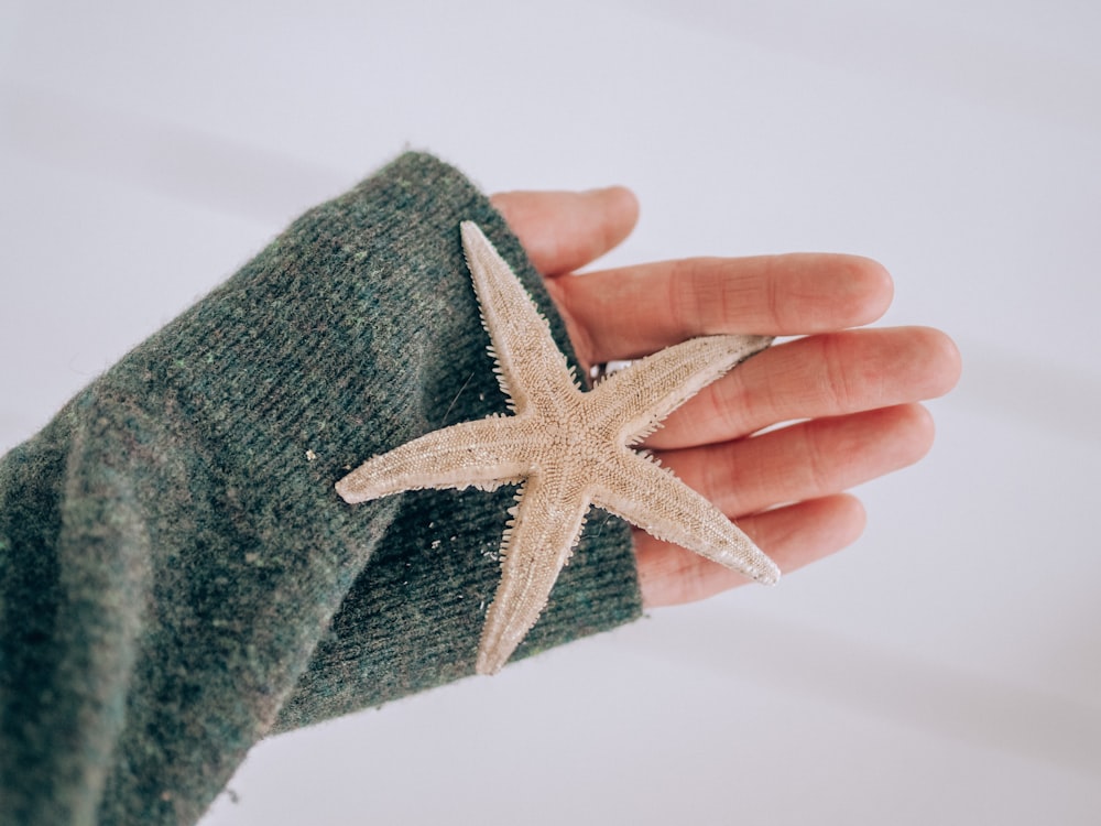 person holding green and white star textile