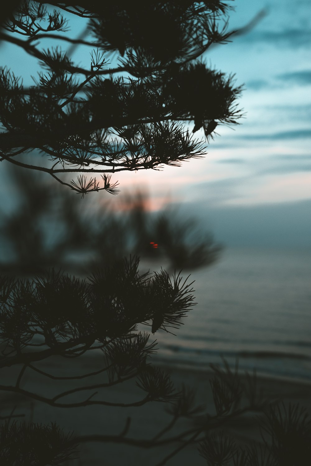 green tree near body of water during daytime