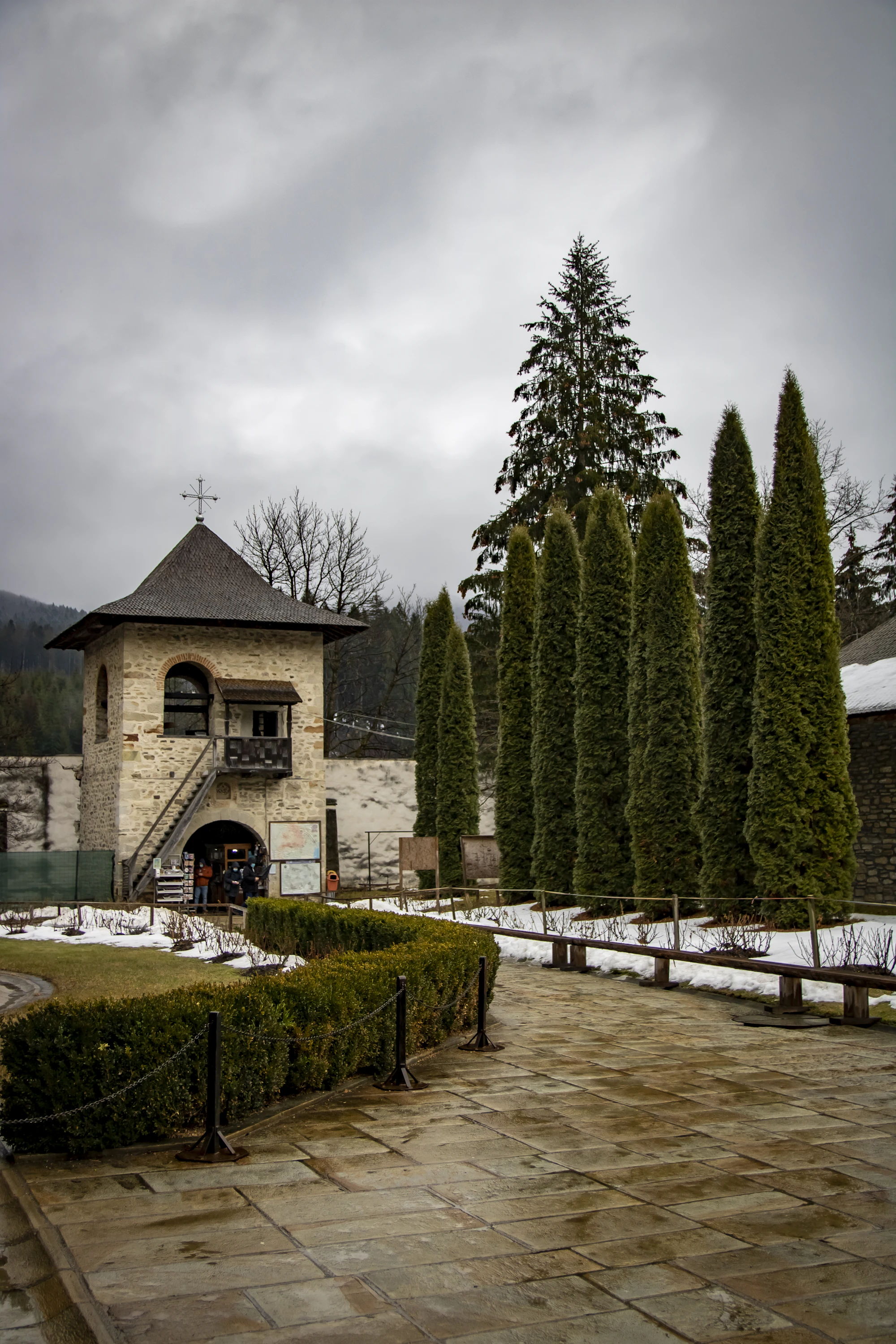 Voroneț painted monastery among pine trees, Bucovina