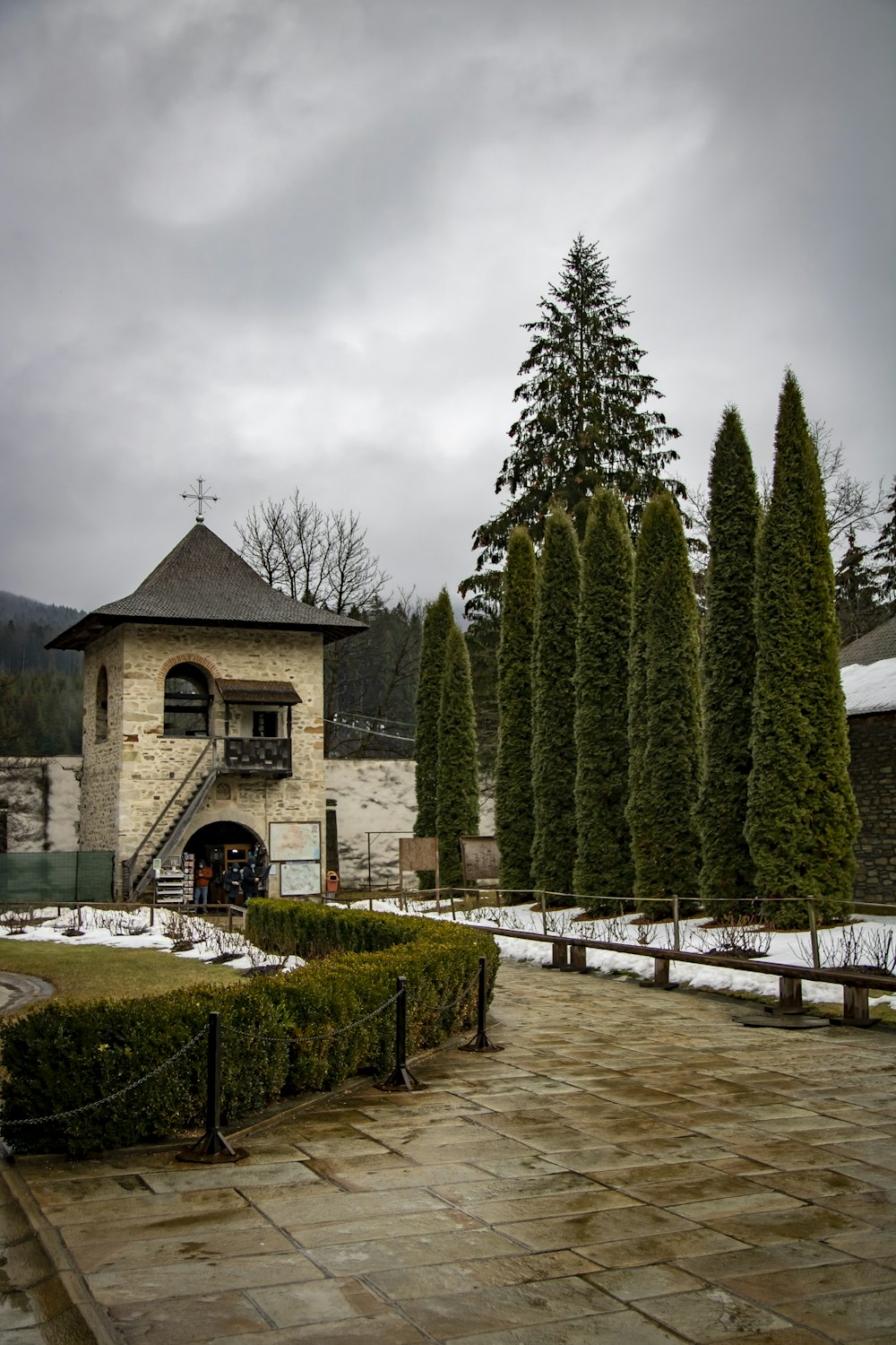 white concrete building near green pine trees during daytime