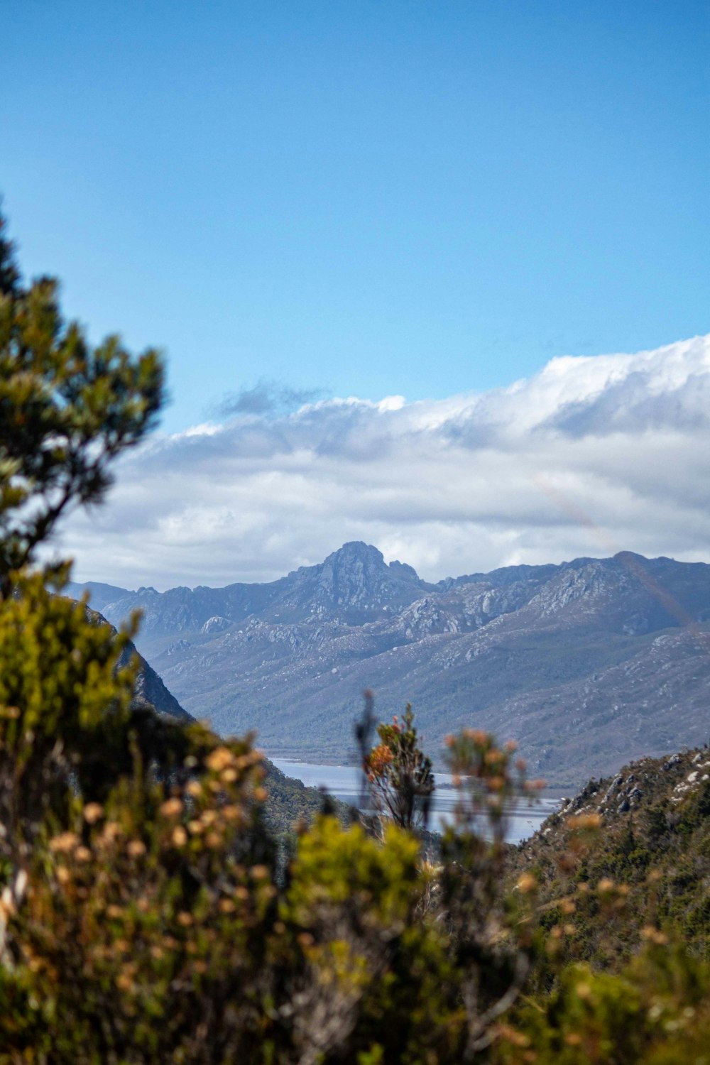 árboles verdes y montañas bajo nubes blancas y cielo azul durante el día