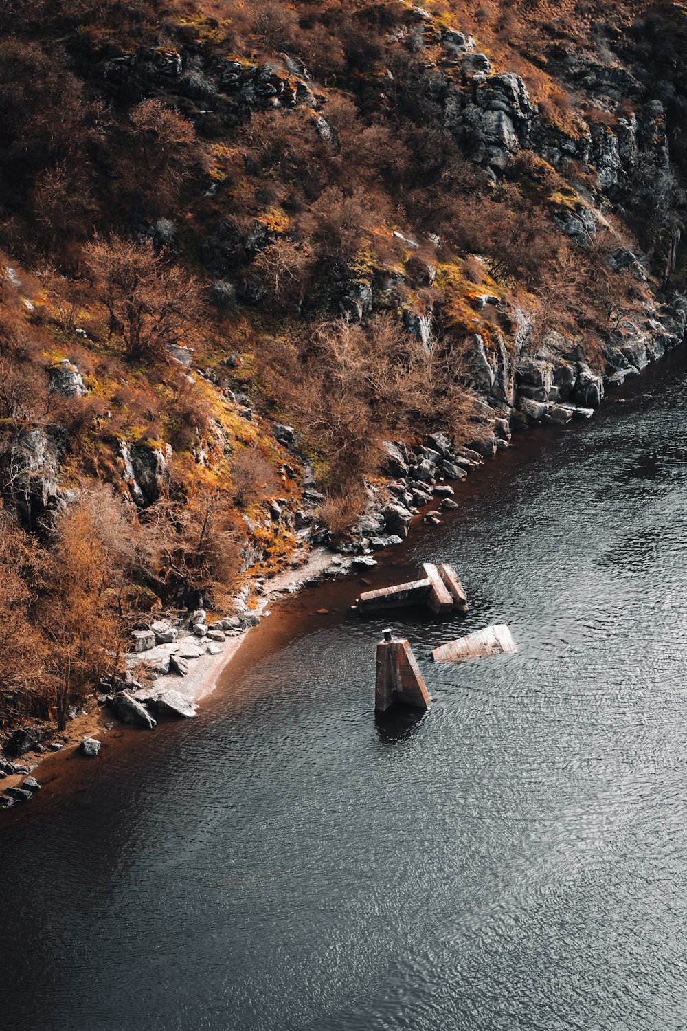 white boat on body of water near brown trees during daytime