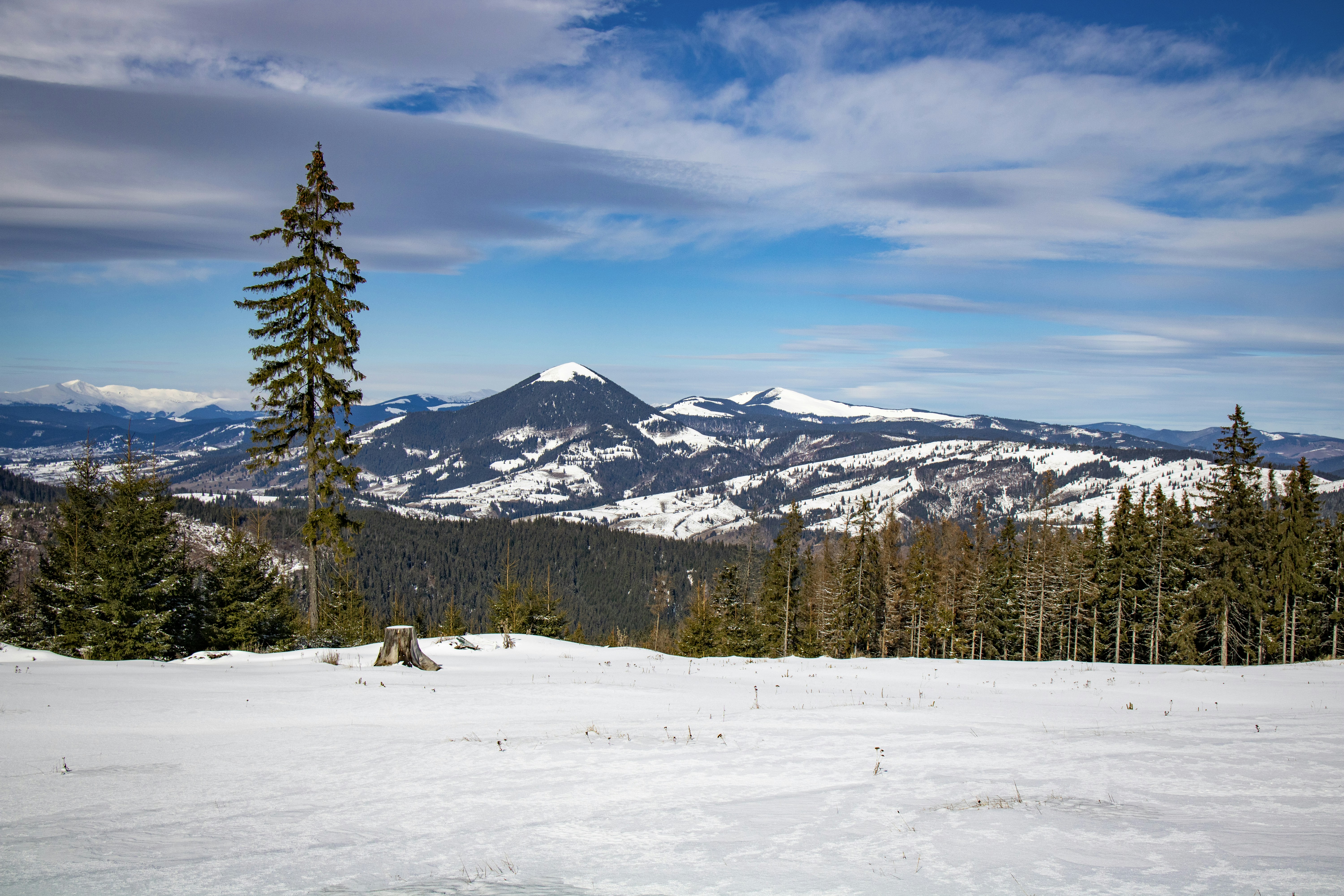 Photo by ovidiugruescu