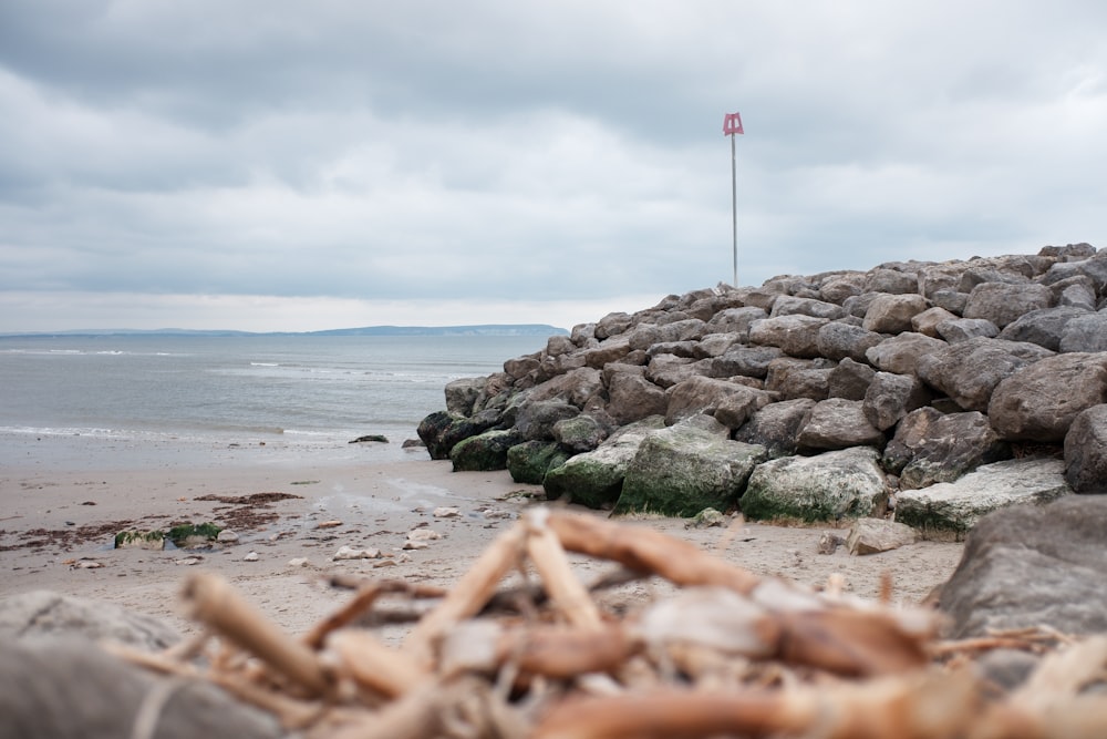 brown rocks on seashore during daytime