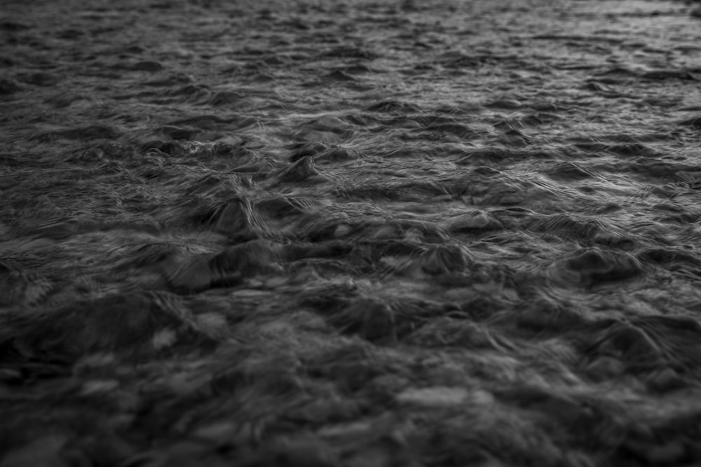 grayscale photo of body of water