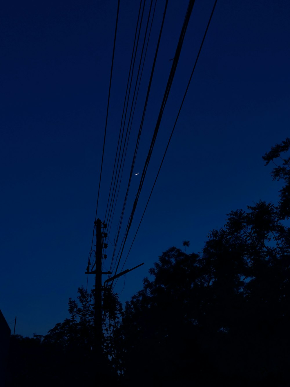 silhouette of trees under blue sky during night time