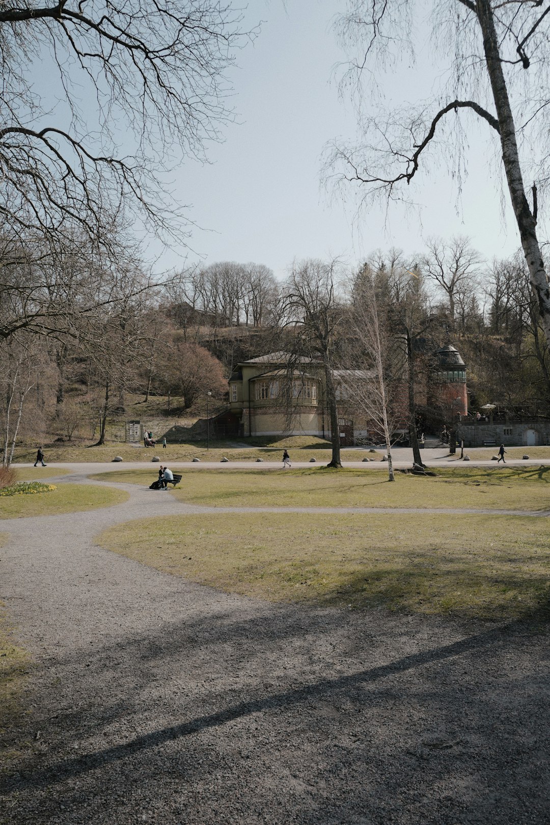 people walking on pathway near bare trees during daytime