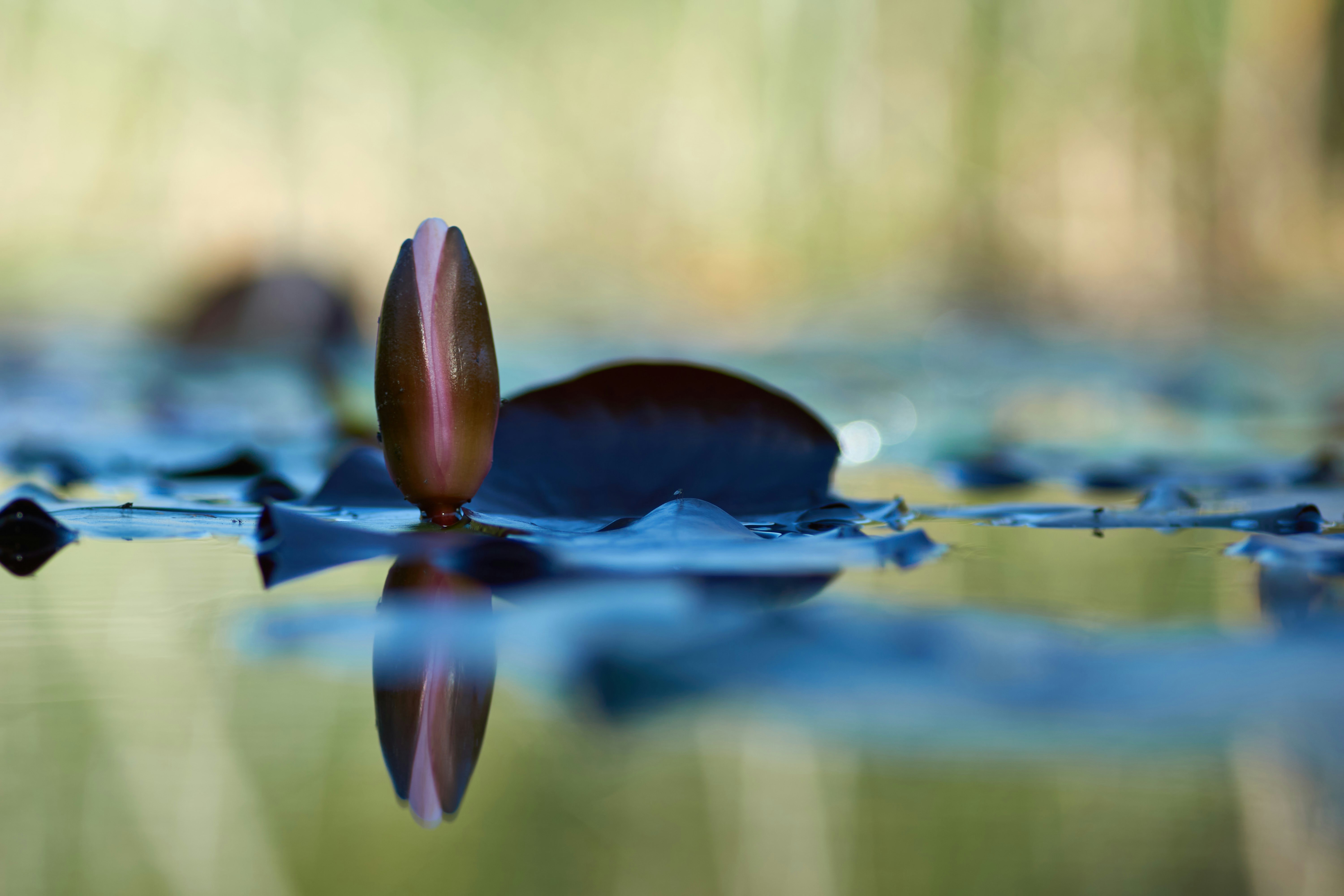 Power vs Control Pickleball Paddles: Ultimate Buyer's Guide