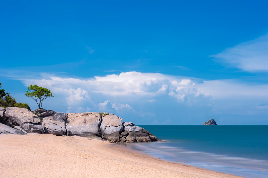 brown rock formation on beach during daytime