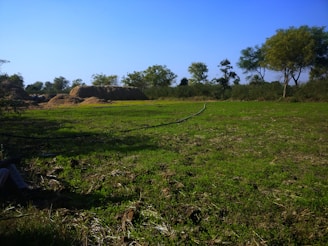 A sprawling agricultural field with HDPE pipes laid out for irrigation.