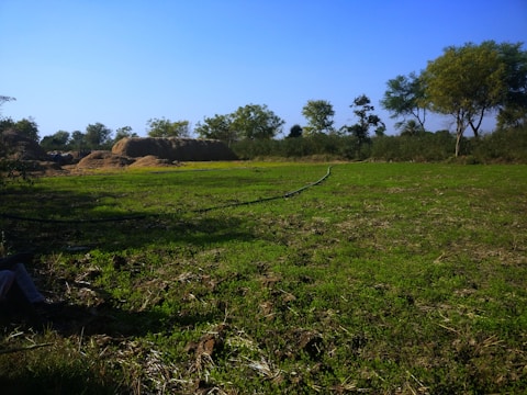A lush green farm field with irrigation pipes delivering filtered water under a clear blue sky