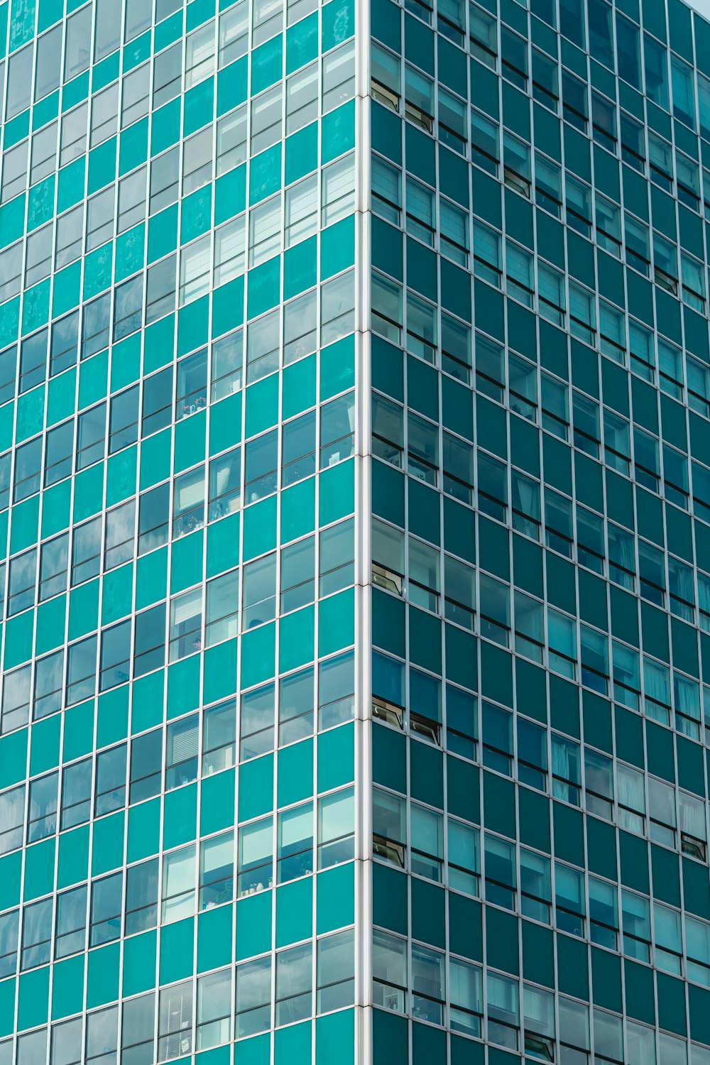 blue and white concrete building