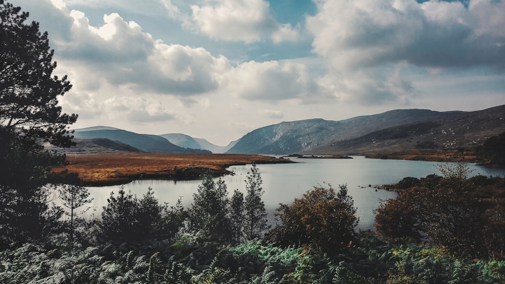 alberi verdi vicino al lago sotto nuvole bianche e cielo blu durante il giorno