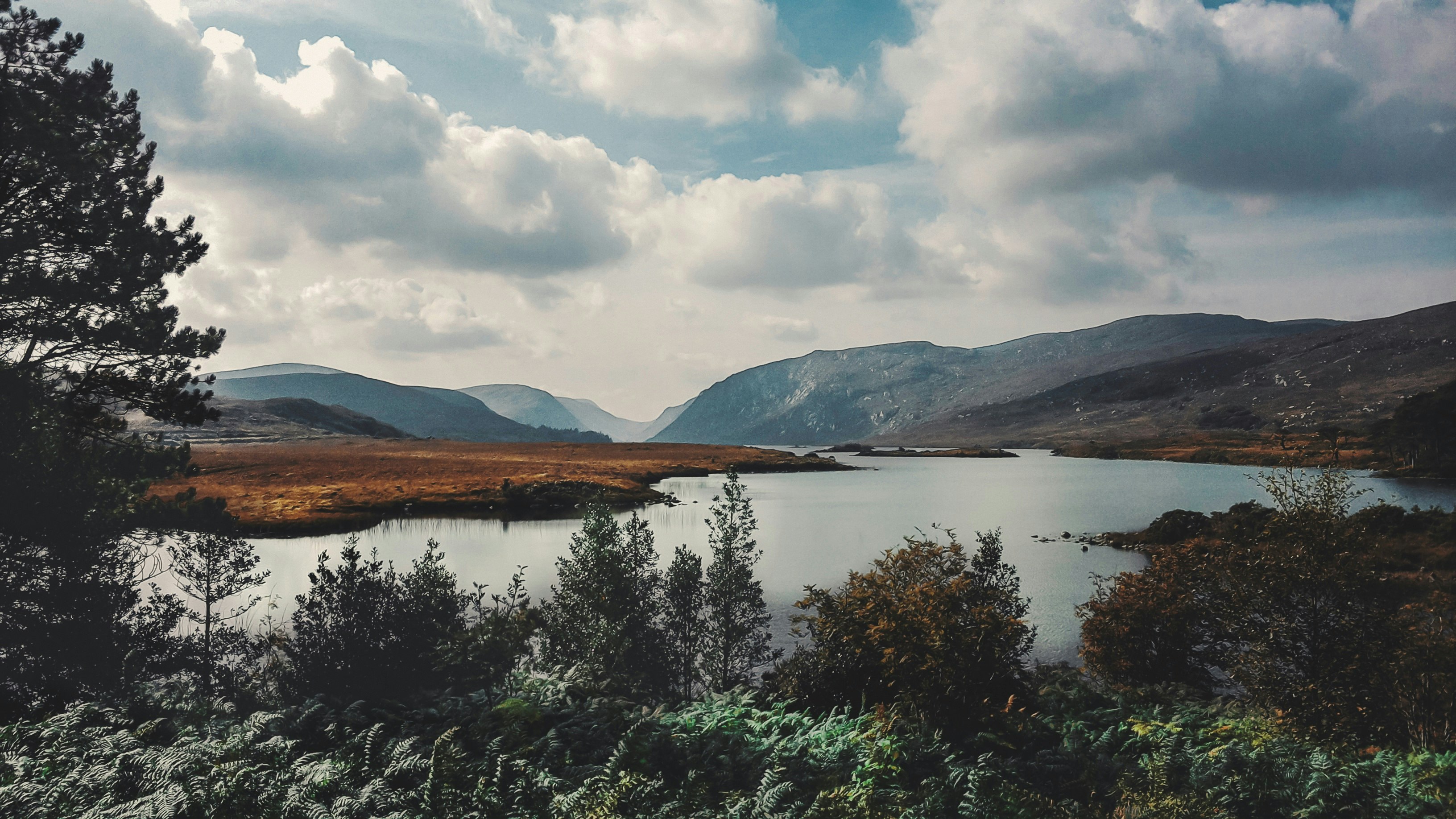 green trees near lake under white clouds and blue sky during daytime